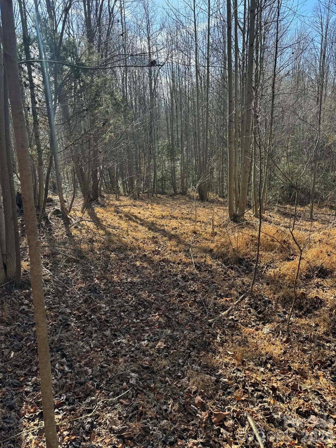 001 Rock Creek Church RD, North Wilkesboro, NC 28659