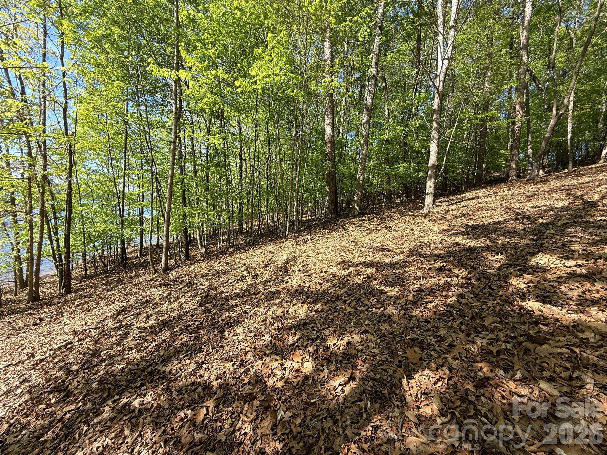 163 High Lake DR, Statesville, NC 28677