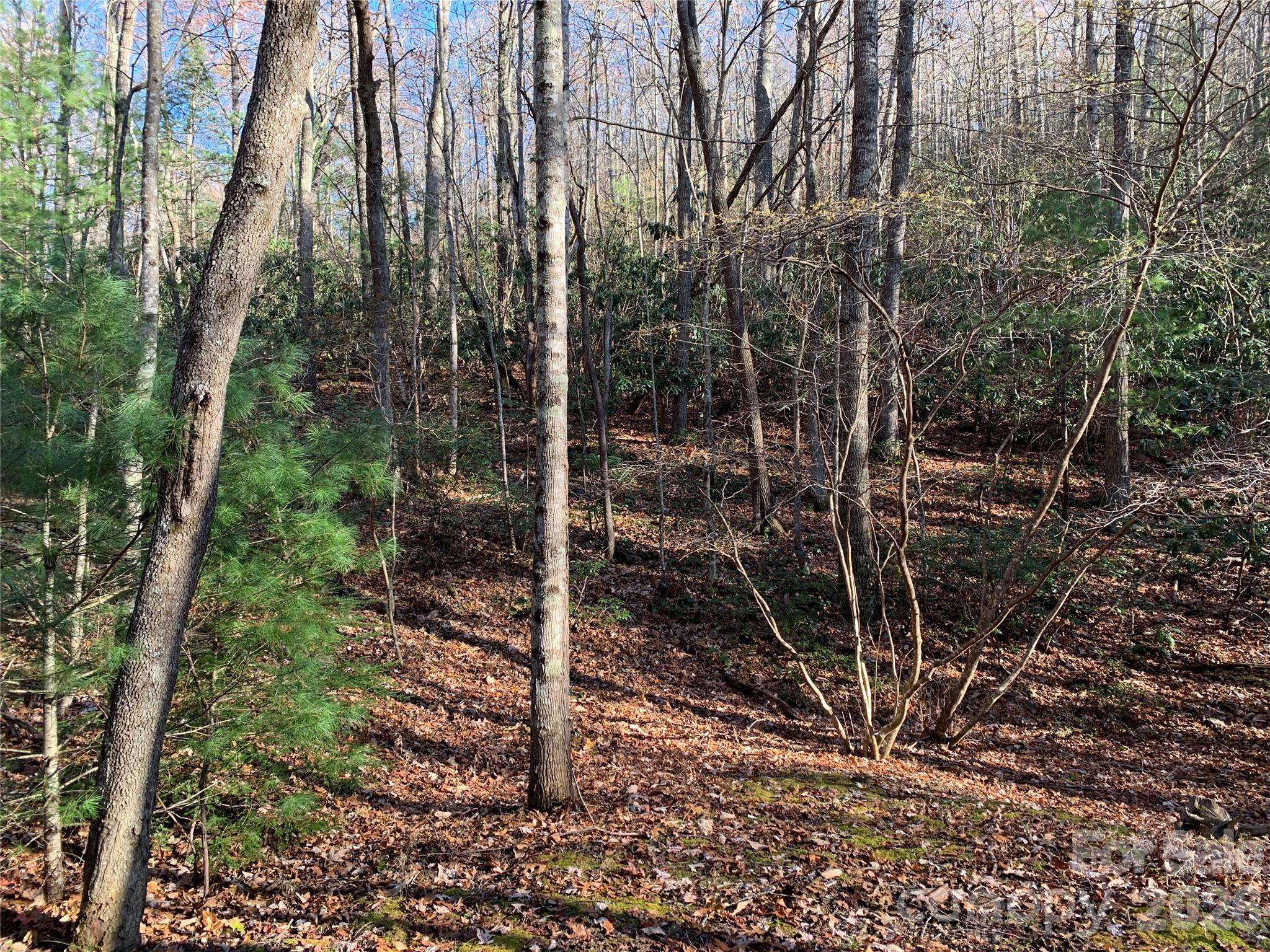 TBD (Lot 1) Dugger Firetower RD #1, Lenoir, NC 28645