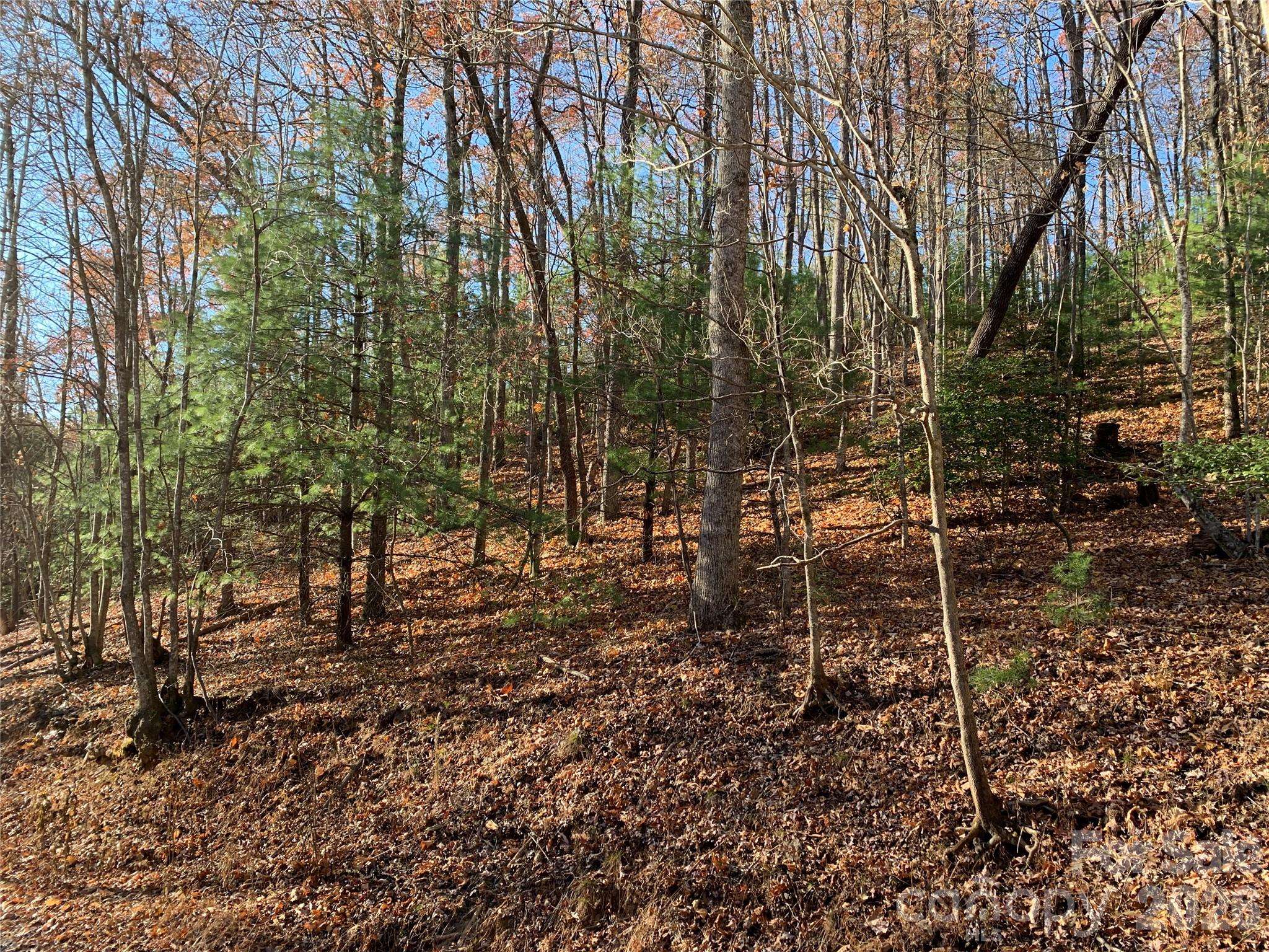 TBD (Lot 1) Dugger Firetower RD #1, Lenoir, NC 28645