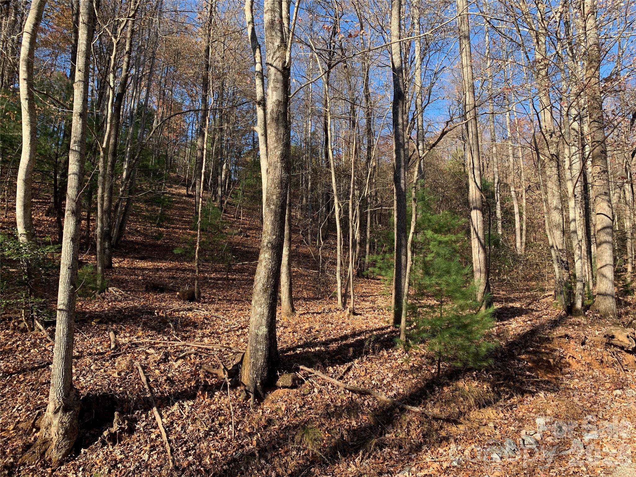 TBD (Lot 1) Dugger Firetower RD #1, Lenoir, NC 28645