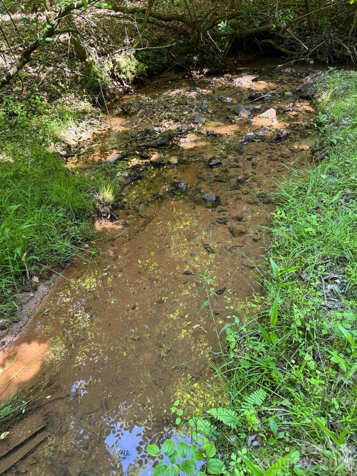 Lot 54 Billings Hill Church RD, Traphill, NC 28683