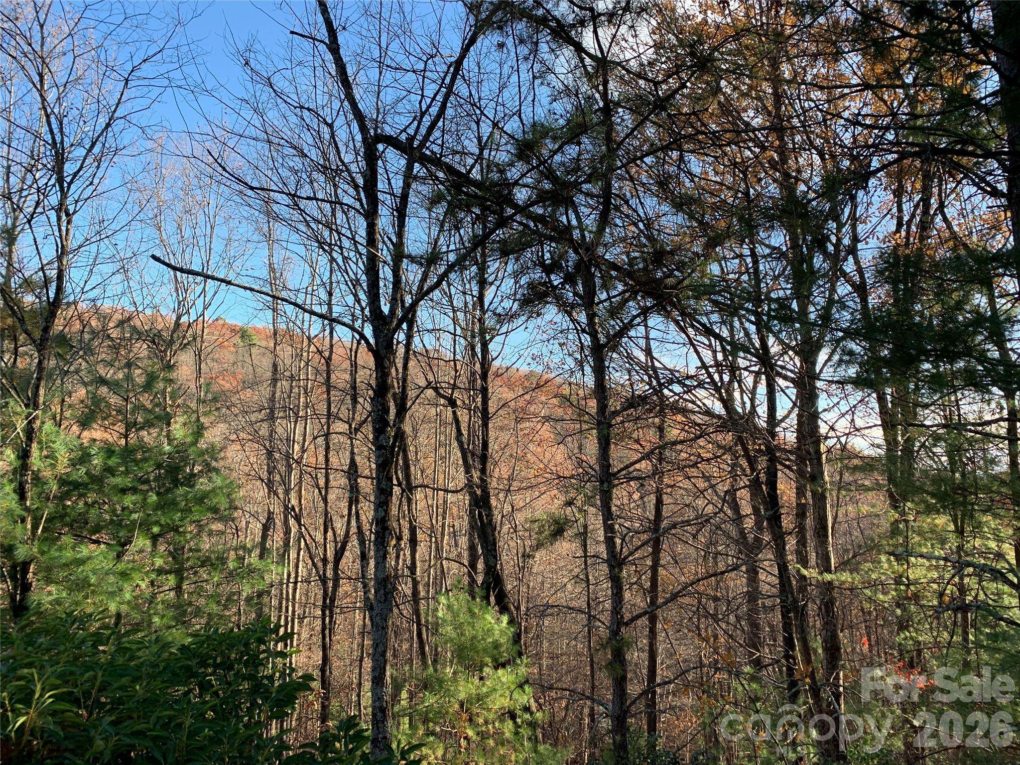 TBD (Lot 4) Wolf Den LN #4, Lenoir, NC 28645