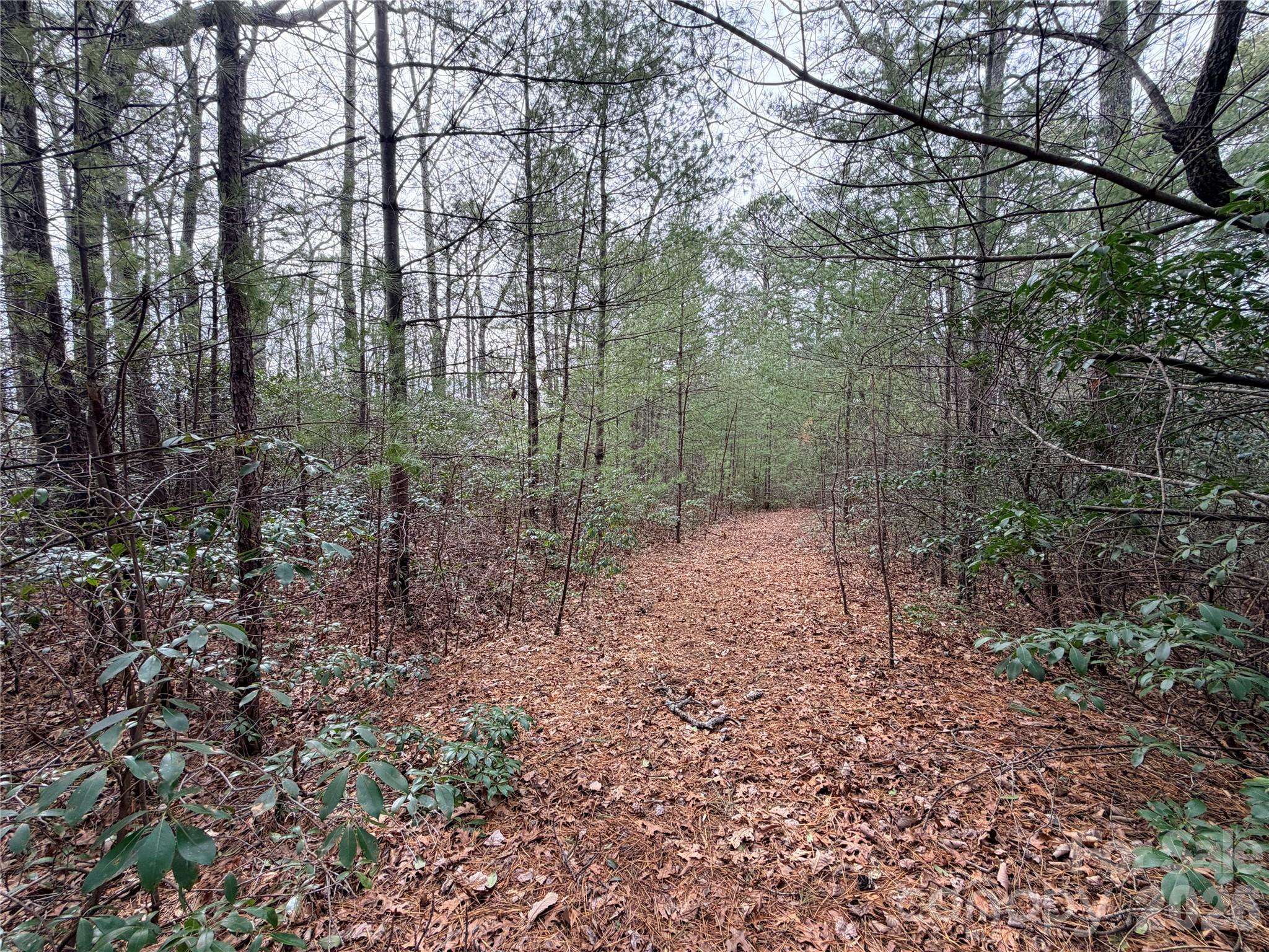 TBD (Lot 4) Wolf Den LN #4, Lenoir, NC 28645