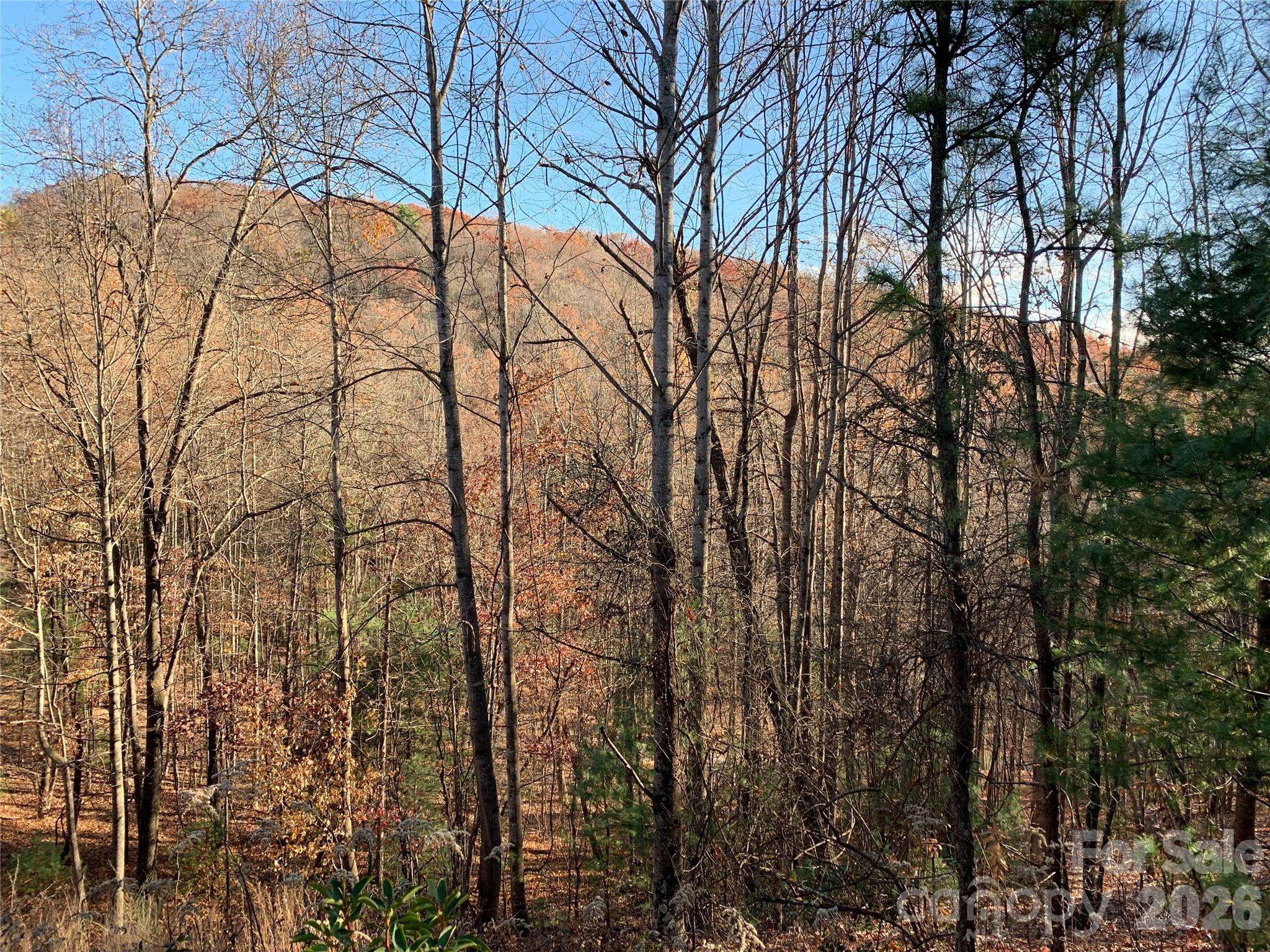 TBD (Lot 4) Wolf Den LN #4, Lenoir, NC 28645