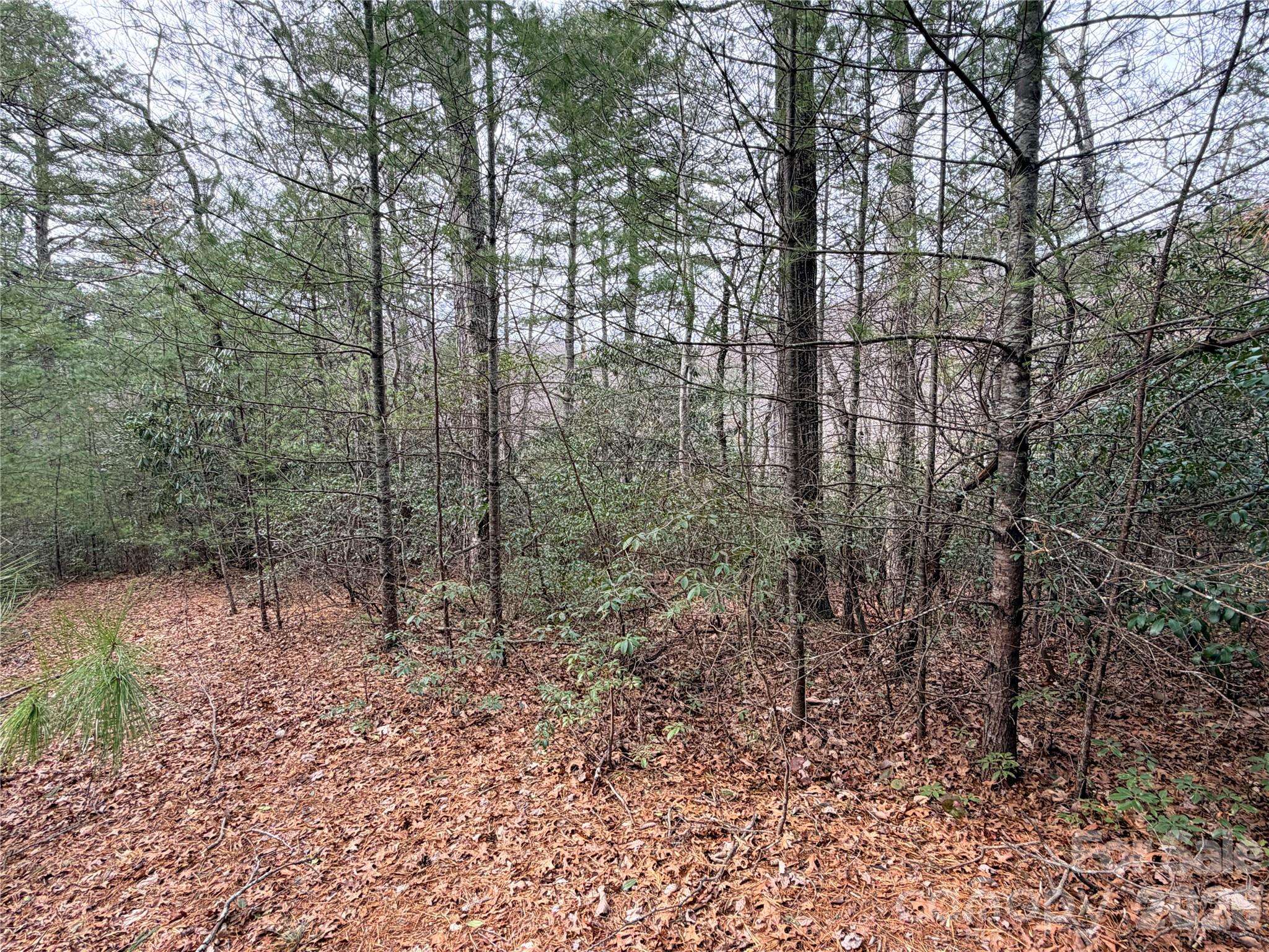 TBD (Lot 4) Wolf Den LN #4, Lenoir, NC 28645