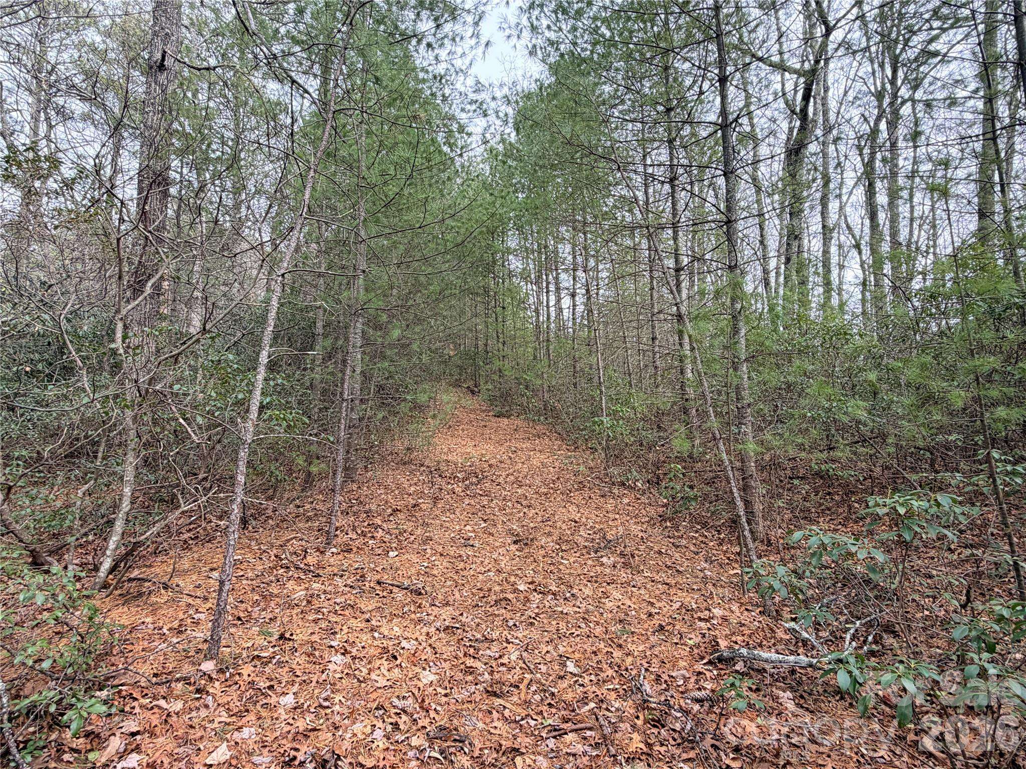 TBD (Lot 4) Wolf Den LN #4, Lenoir, NC 28645