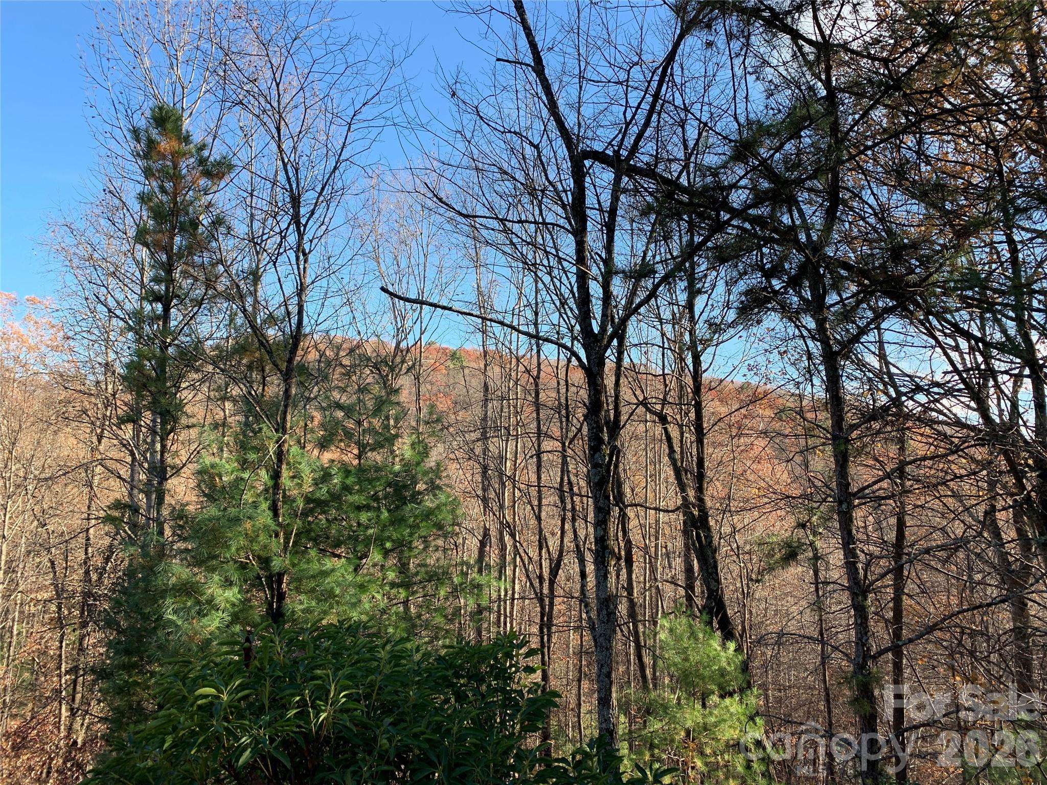 TBD (Lot 4) Wolf Den LN #4, Lenoir, NC 28645