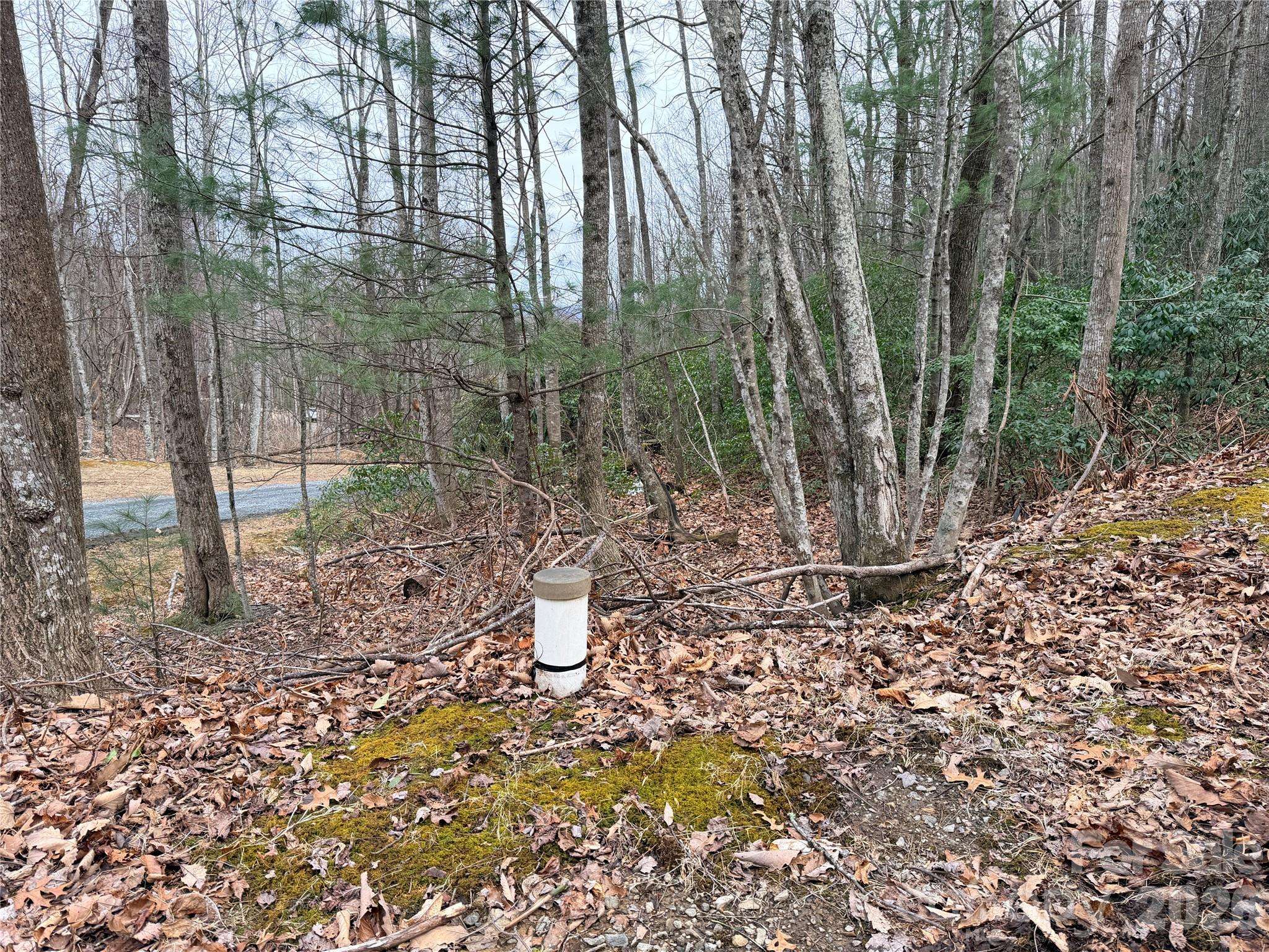 TBD (Lot 19) Wolf Den LN #19, Lenoir, NC 28645