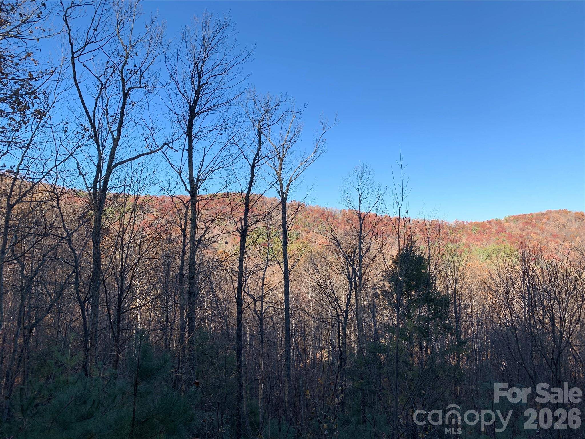 TBD (Lot 19) Wolf Den LN #19, Lenoir, NC 28645