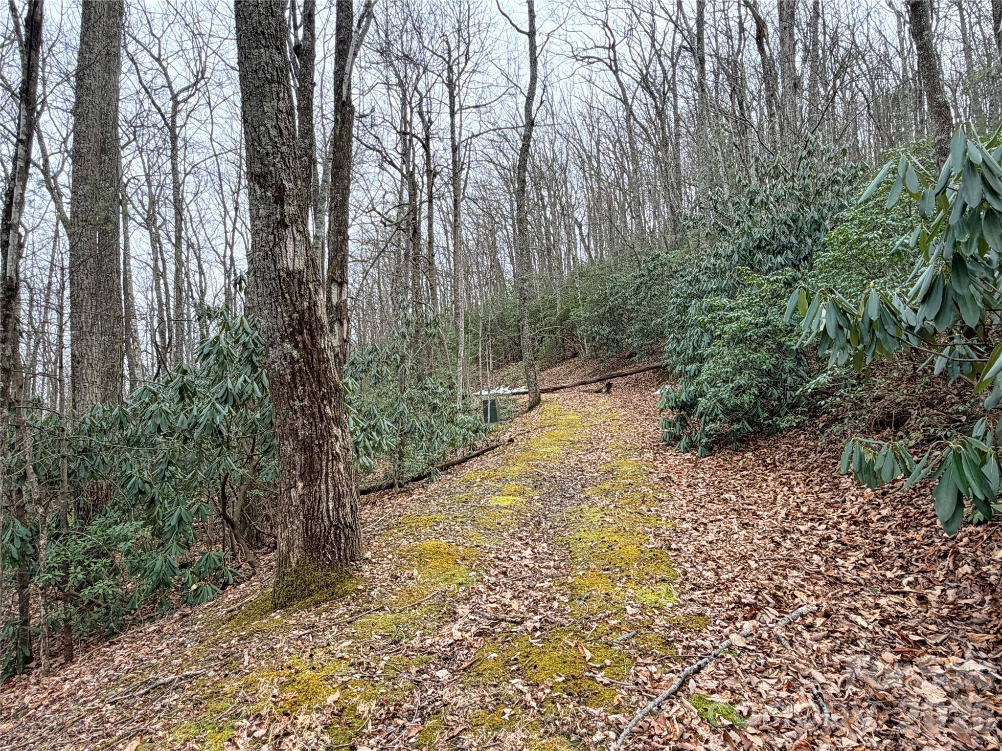 TBD (Lot 19) Wolf Den LN #19, Lenoir, NC 28645