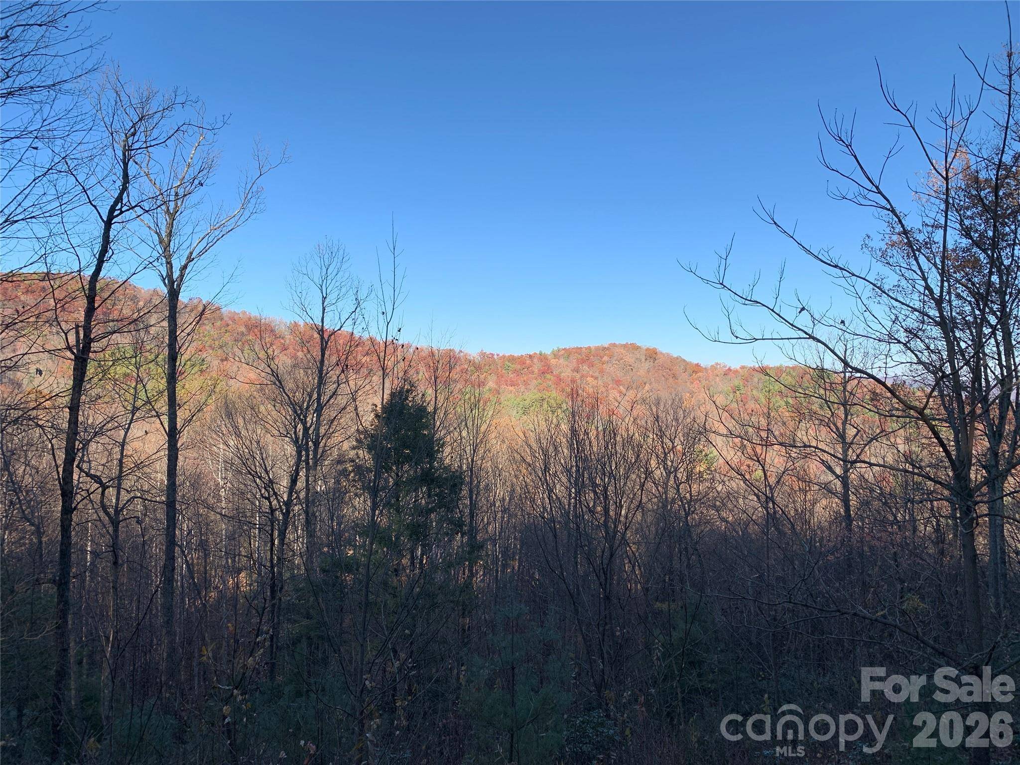 TBD (Lot 19) Wolf Den LN #19, Lenoir, NC 28645