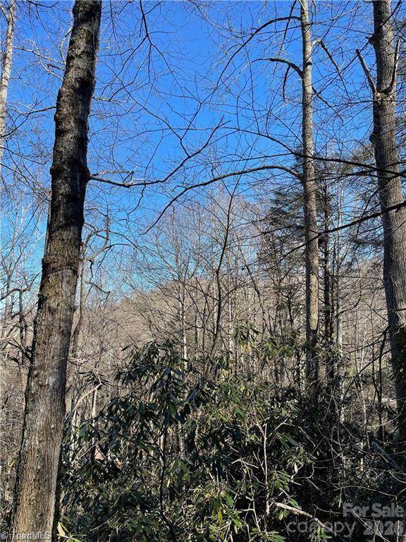 Lot E-15 Laurel Ridge RD, Banner Elk, NC 28604