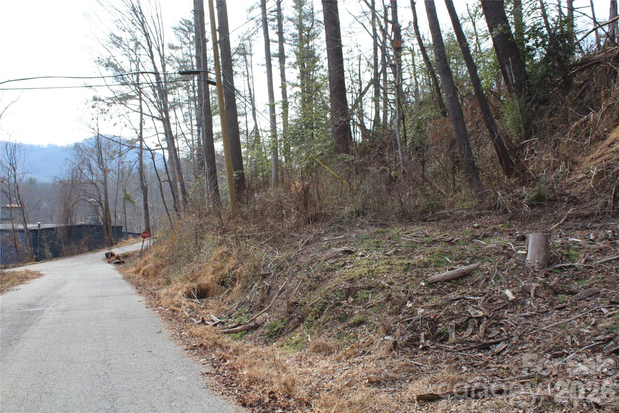 00 Monte Vista CIR, Spruce Pine, NC 28777