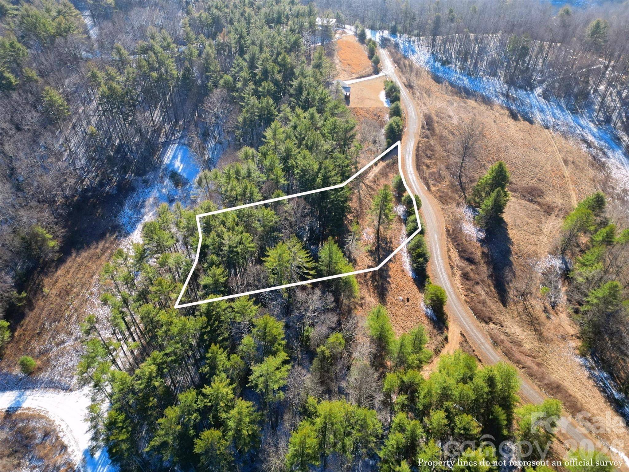 00 Dream Valley DR #22, Clyde, NC 28721