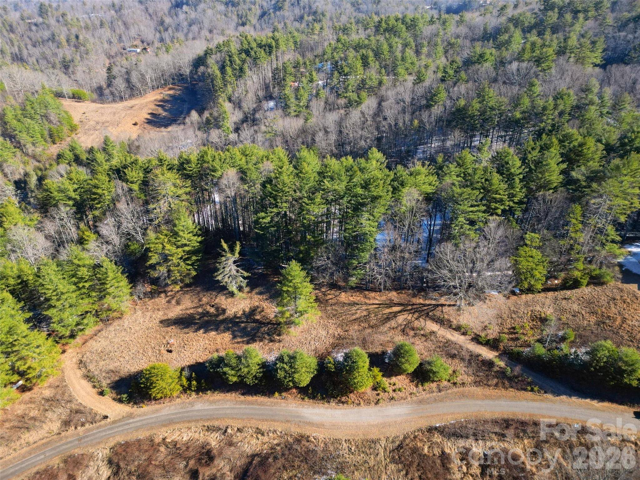 00 Dream Valley DR #22, Clyde, NC 28721