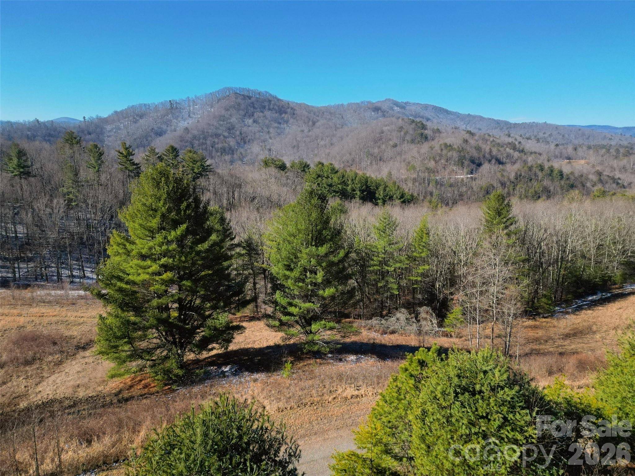 00 Dream Valley DR #22, Clyde, NC 28721