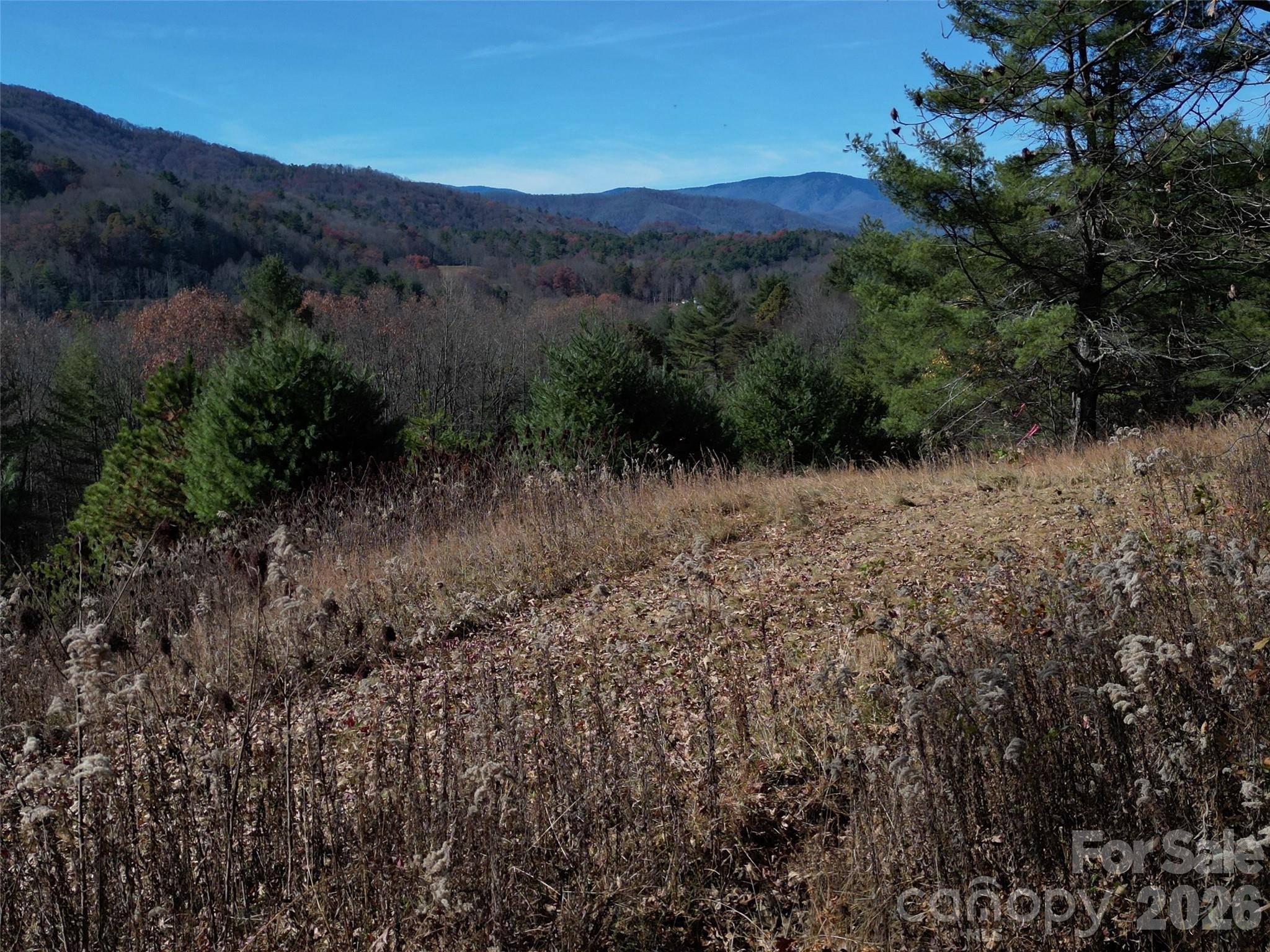 00 Dream Valley DR #22, Clyde, NC 28721