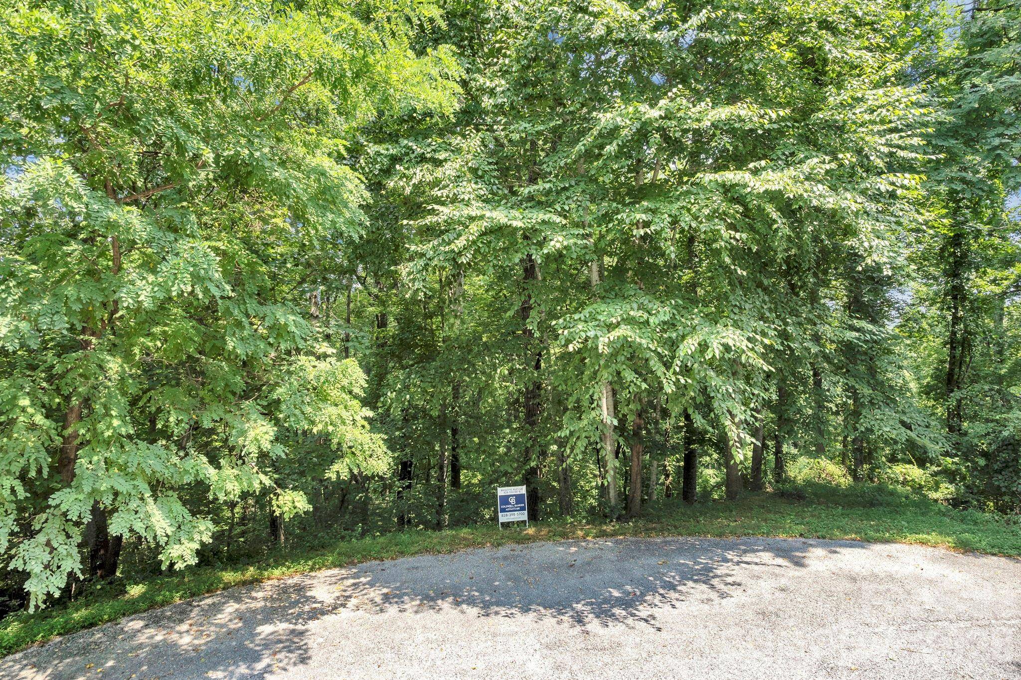85 Shinnecock DR #7, Mills River, NC 28759