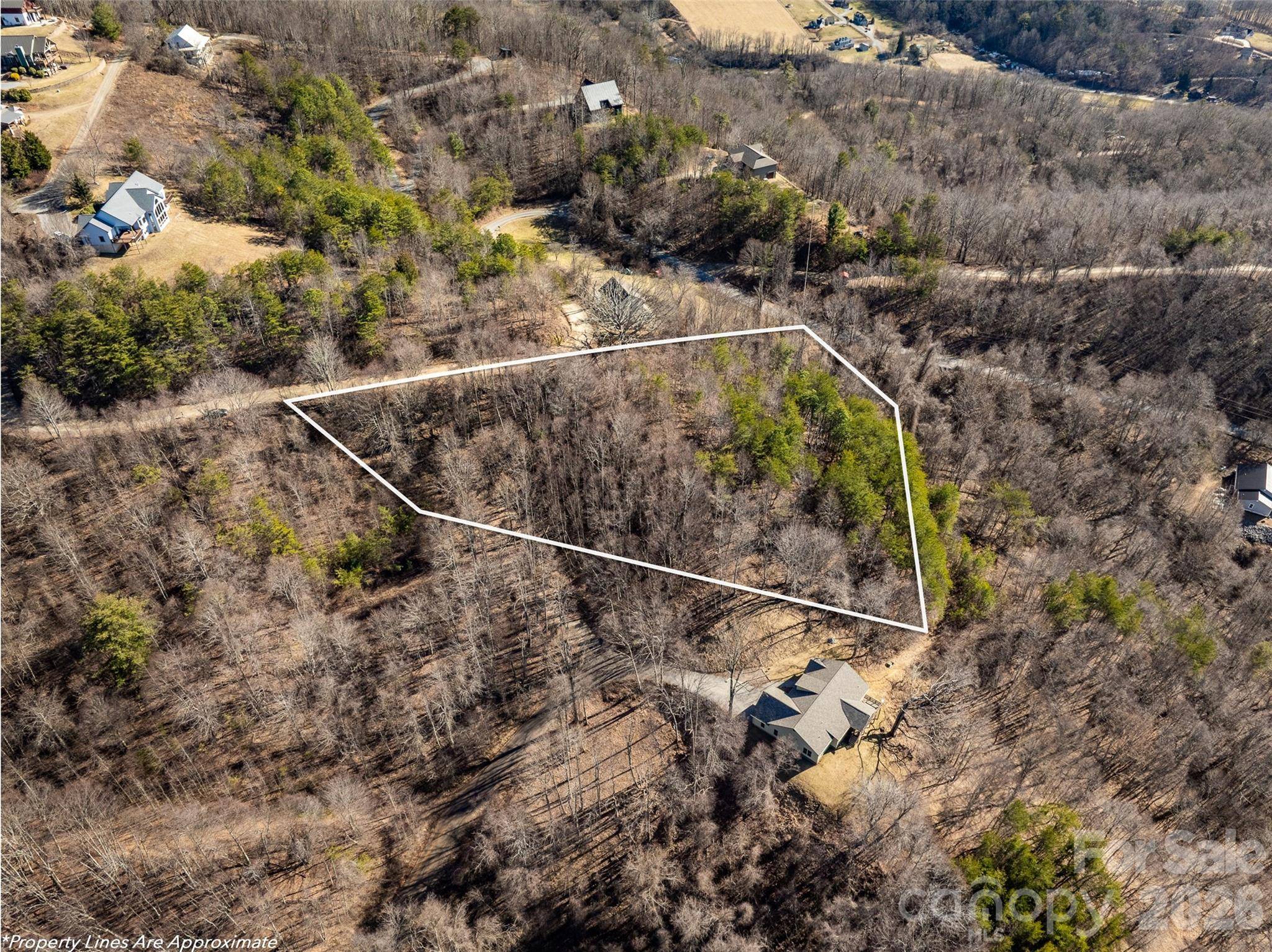 9999 Hunters Ridge DR, Canton, NC 28716