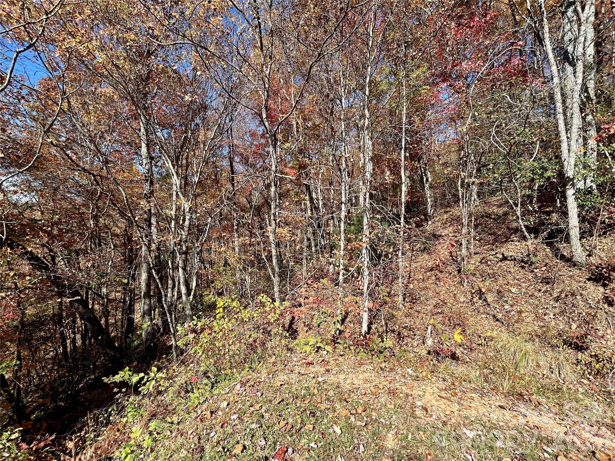 0 Grizzly RDG #57, Bryson City, NC 28713