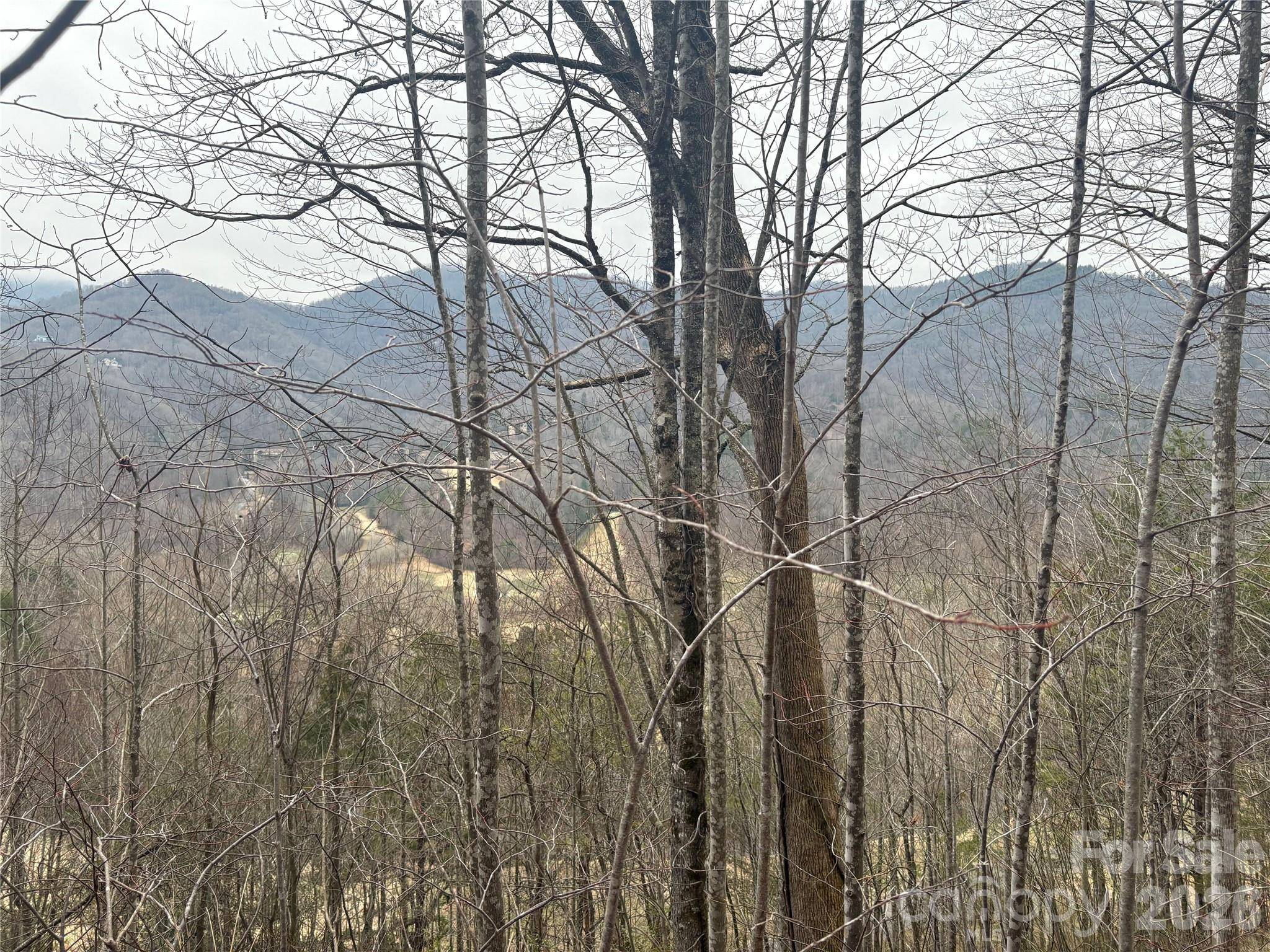 00 Country Club DR #11, Whittier, NC 28789