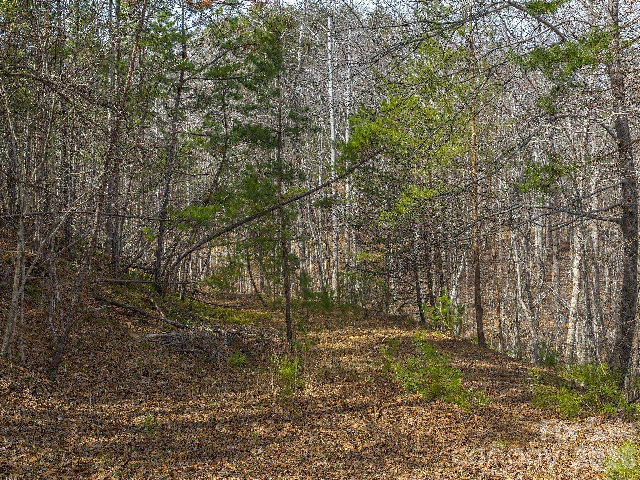 Lots 22 & 23 Lake Adger Pkwy, Mill Spring, NC 28756