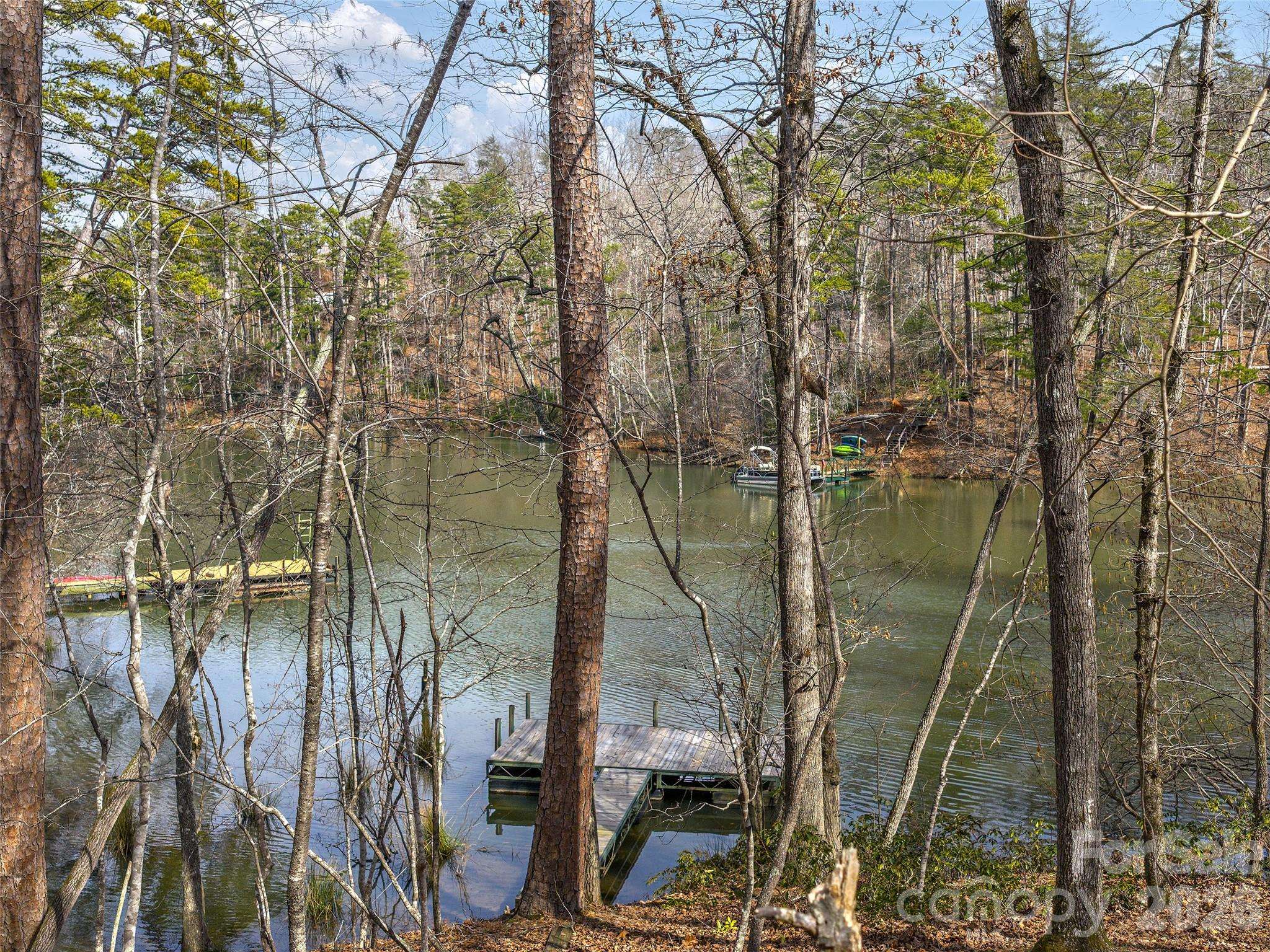 Lots 22 & 23 Lake Adger Pkwy, Mill Spring, NC 28756