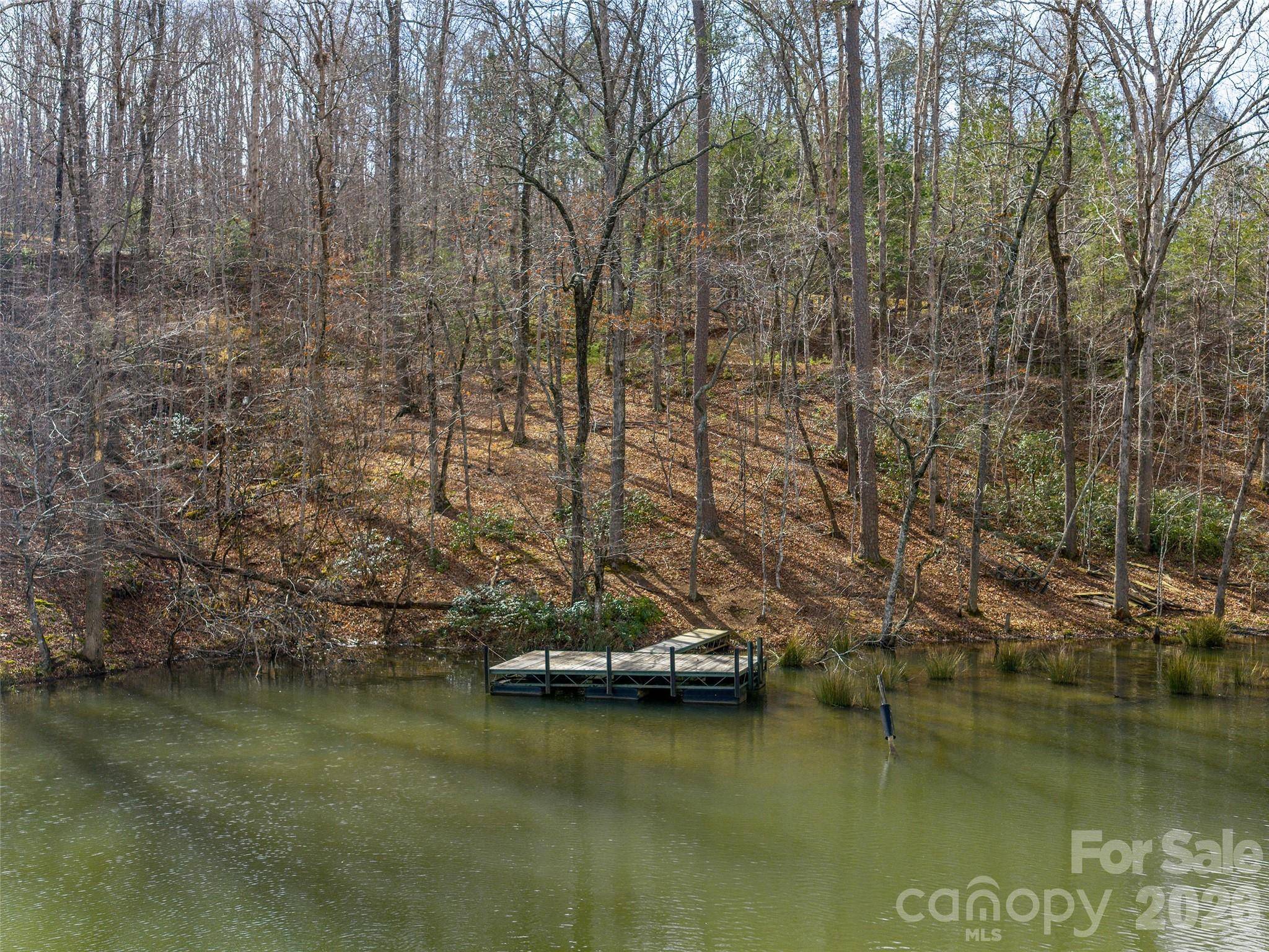 Lots 22 & 23 Lake Adger Pkwy, Mill Spring, NC 28756