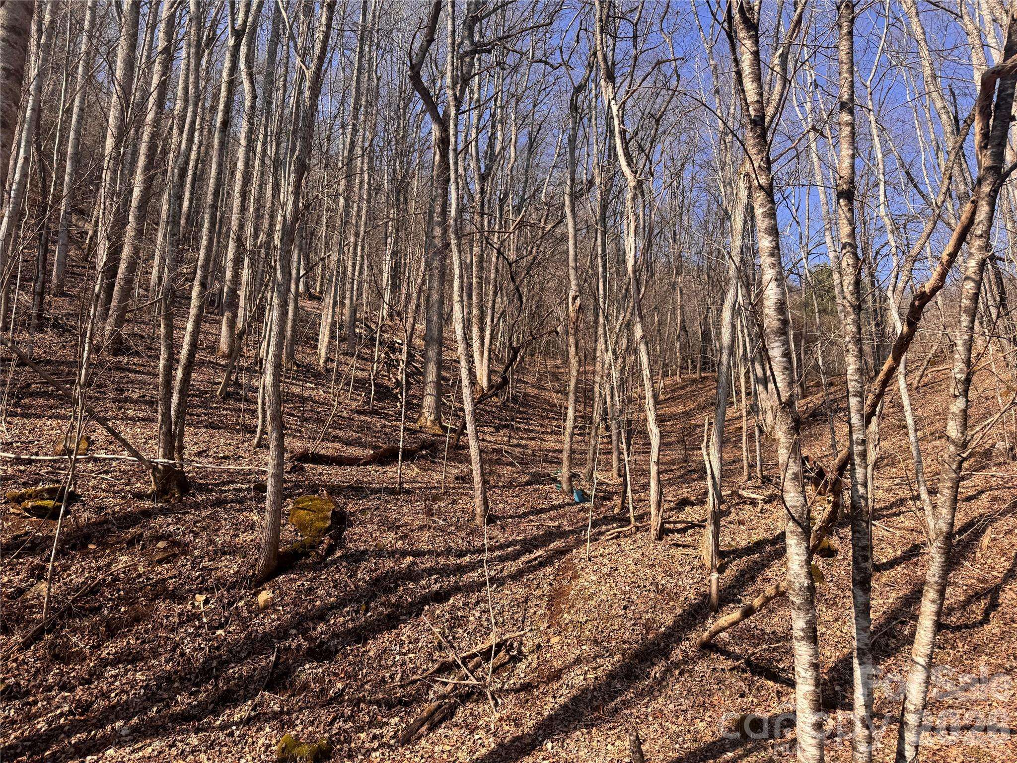 00 S US 19 HWY E, Newland, NC 28657