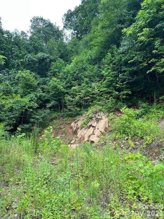 000 Shadyside DR #8, Waynesville, NC 28785