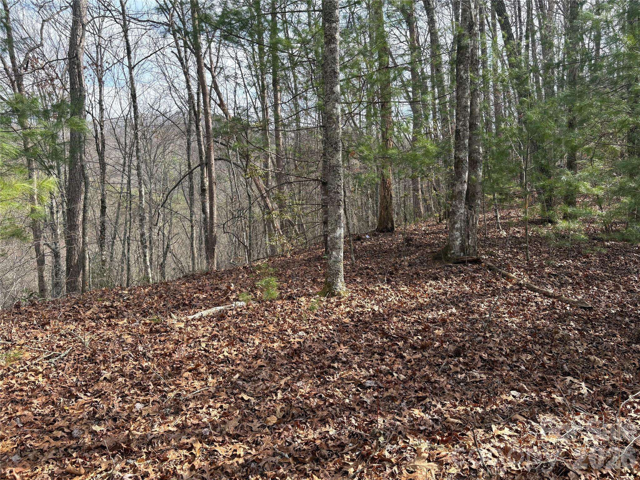 00 Round Hill RD #14, Bryson City, NC 28713