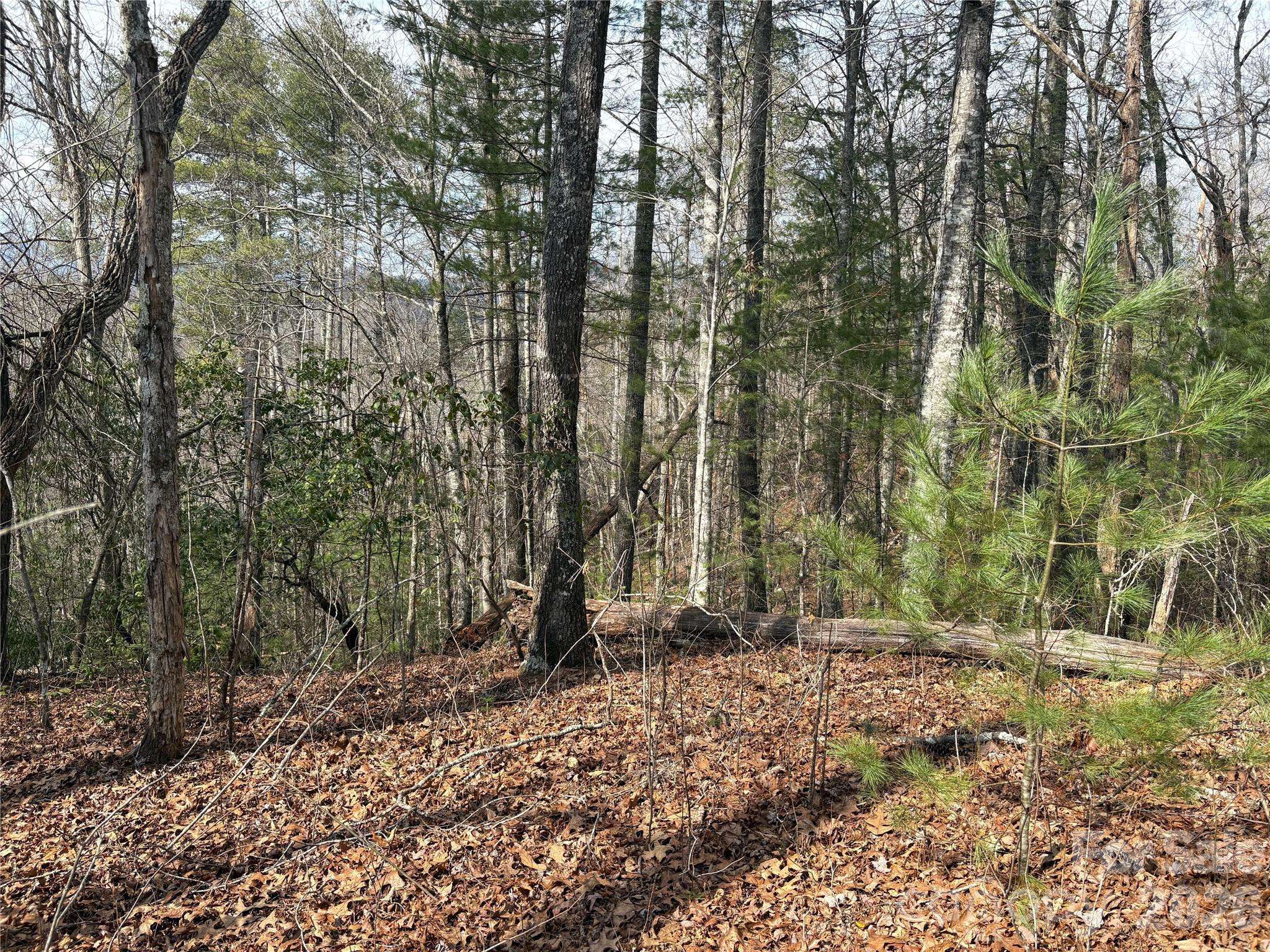 00 Round Hill RD #14, Bryson City, NC 28713