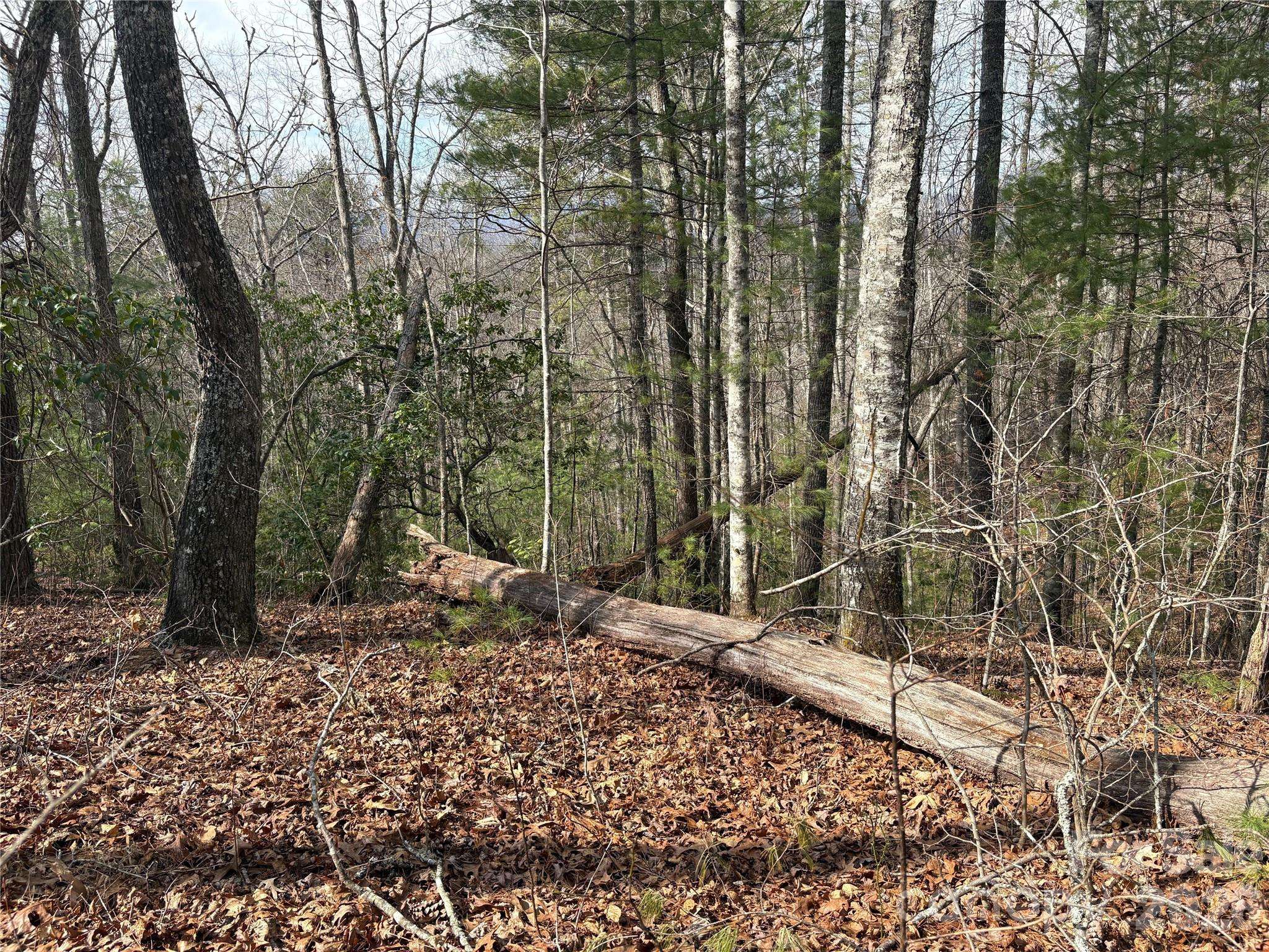 00 Round Hill RD #14, Bryson City, NC 28713