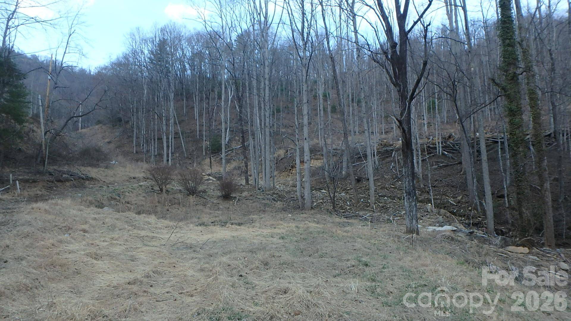 4696 NC Hwy 226A HWY, Marion, NC 28752