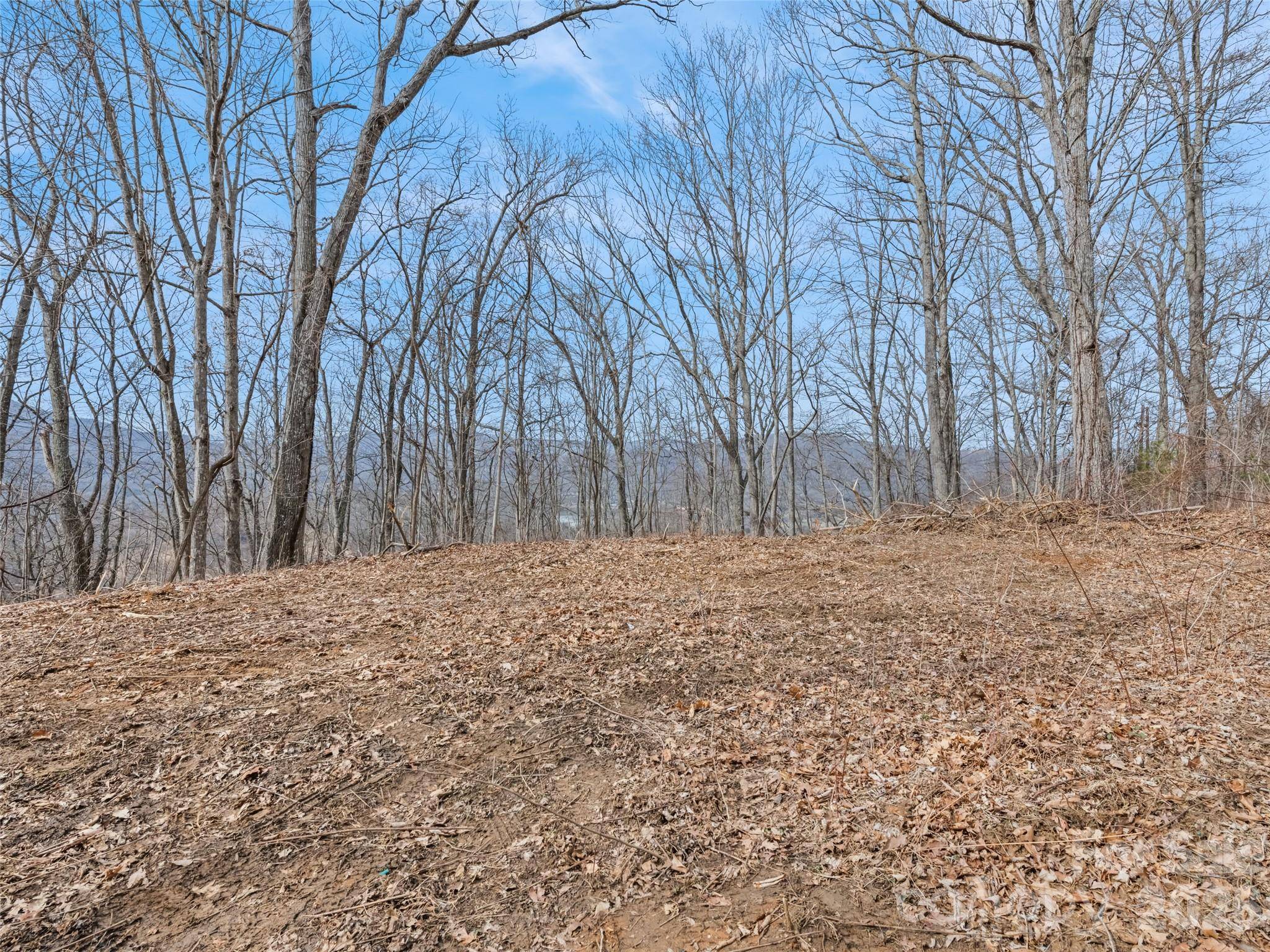 Lot #3 Viewpoint MTN, Waynesville, NC 28786