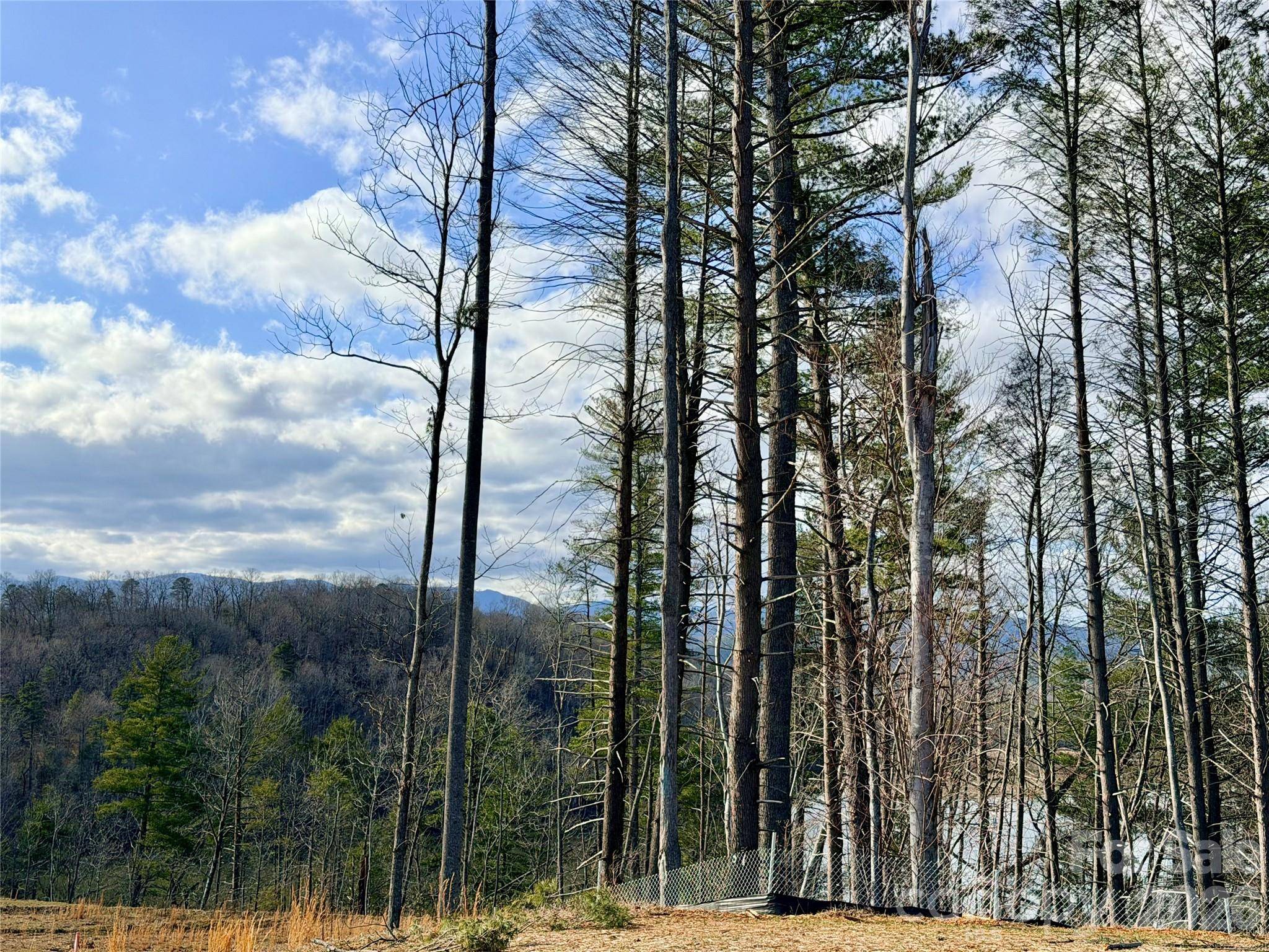 TBD Bluehill Pkwy #133, Marion, NC 28752