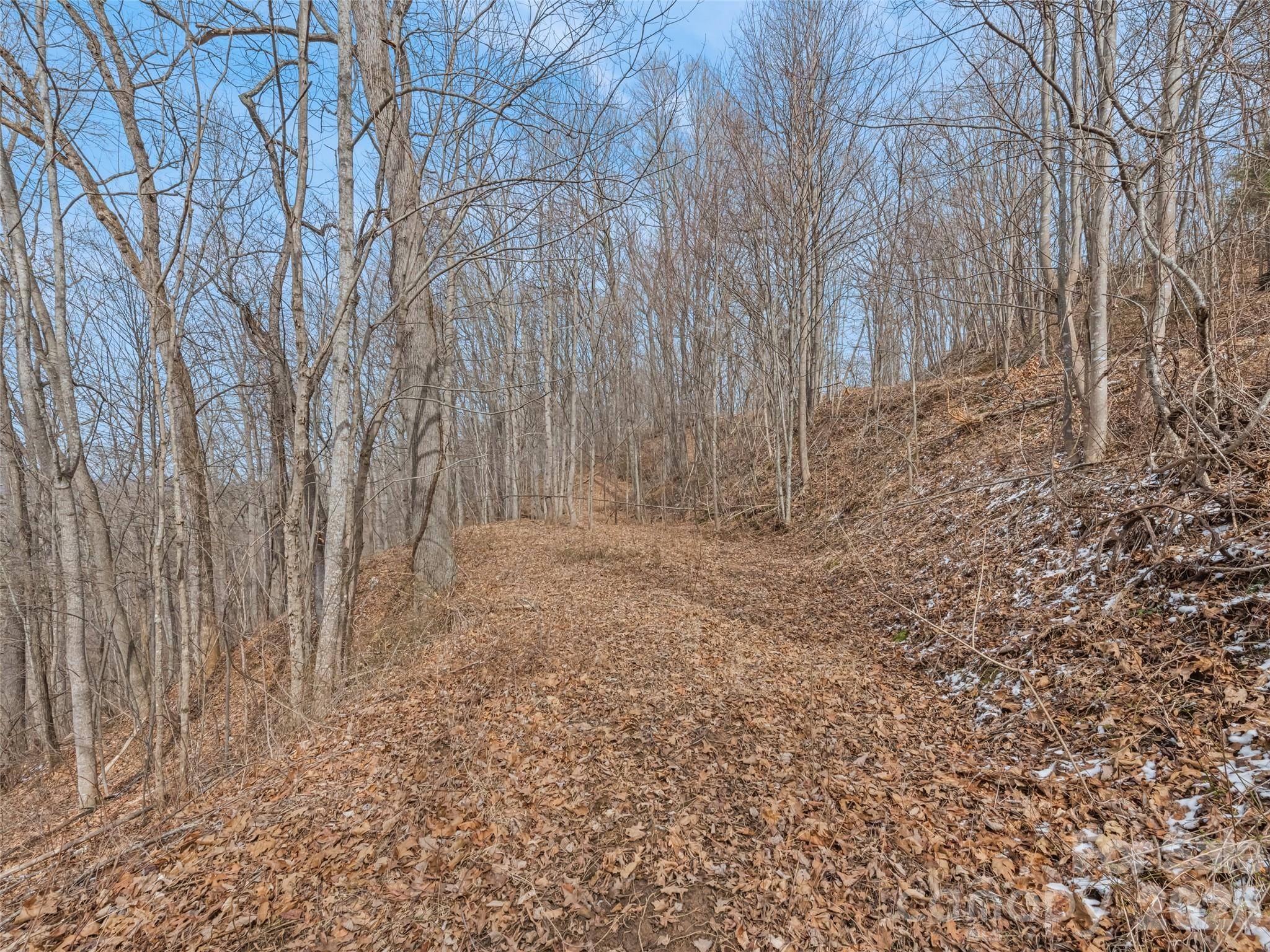 Lot #5 Viewpoint MTN, Waynesville, NC 28786