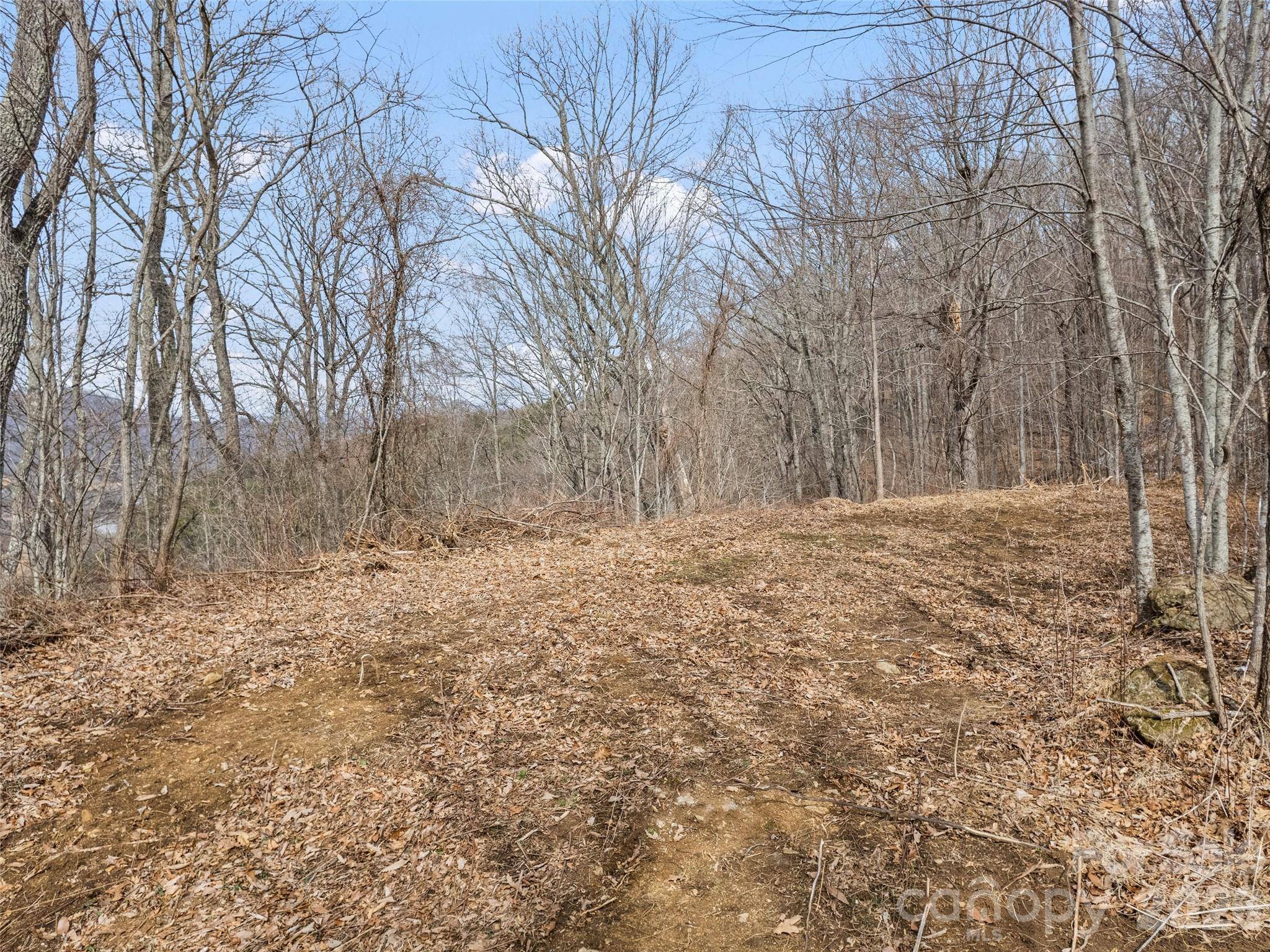 Lots #6 and 7 Viewpoint MTN, Waynesville, NC 28786