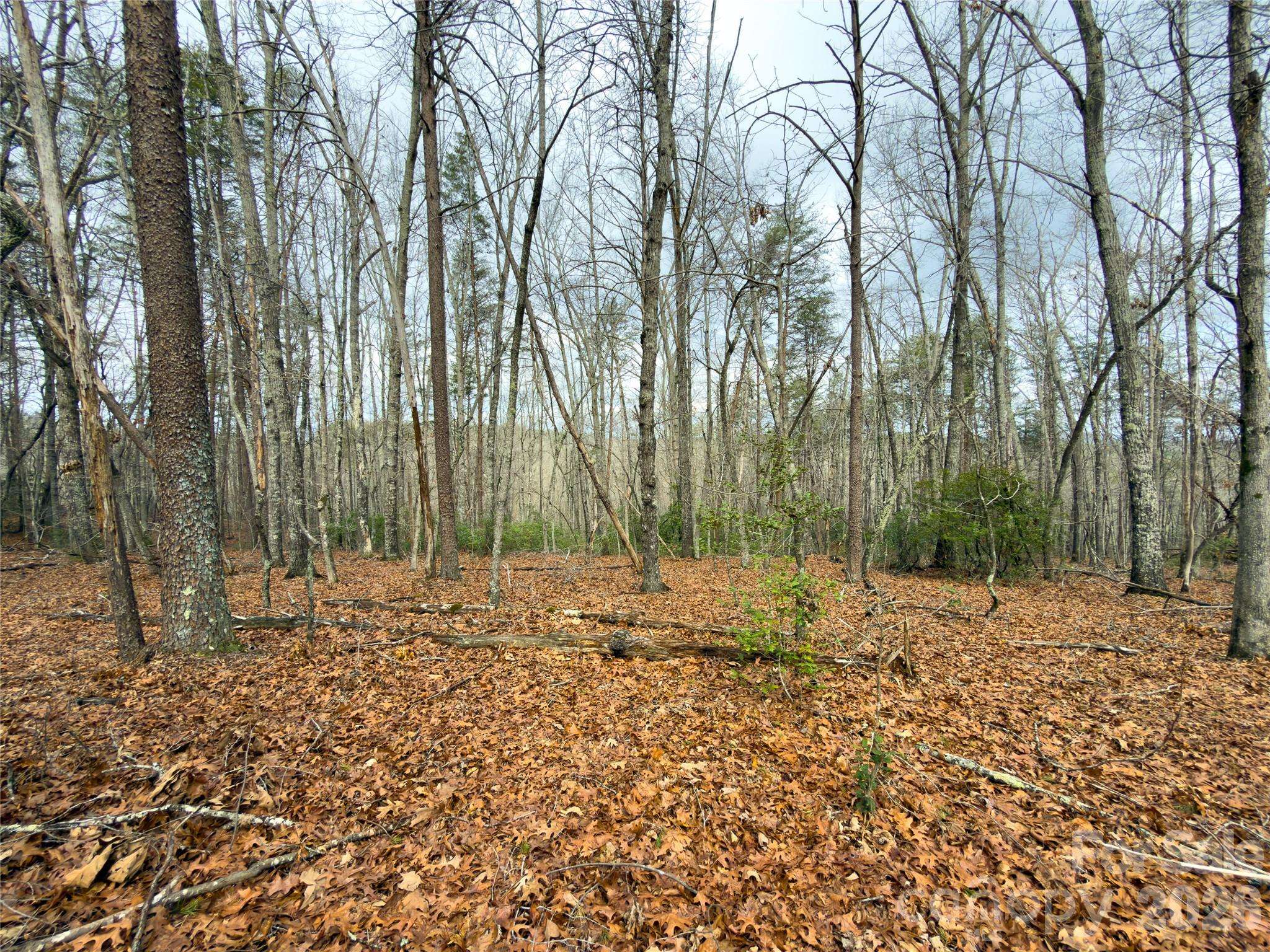 Lots 4-7 Carmel RDG, Rutherfordton, NC 28139