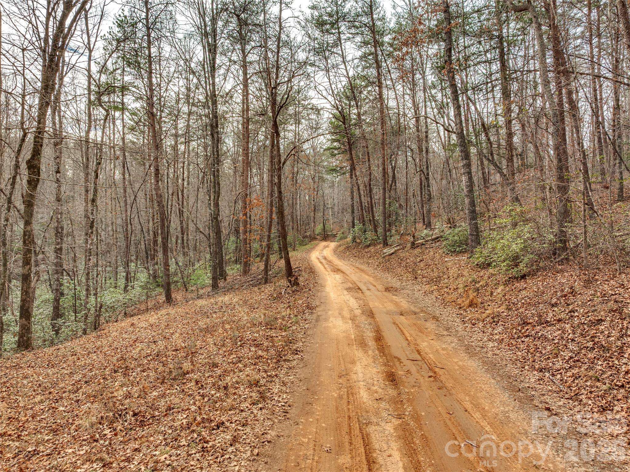 Lots 4-7 Carmel RDG, Rutherfordton, NC 28139