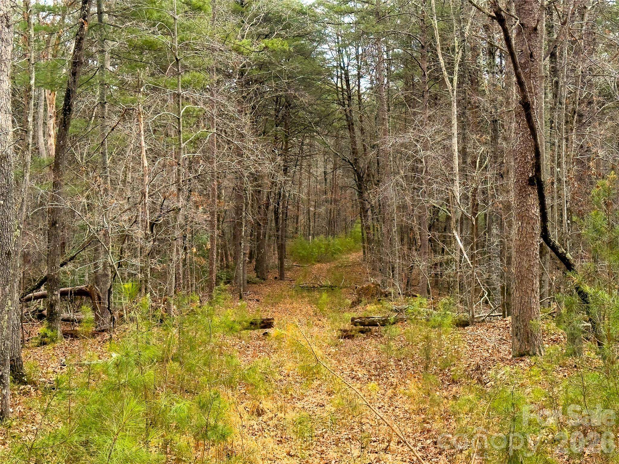 Lots 4-7 Carmel RDG, Rutherfordton, NC 28139