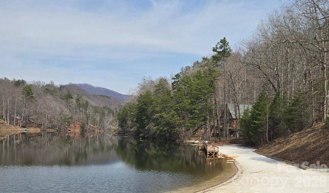 229 Buzzards PL, Lake Lure, NC 28746