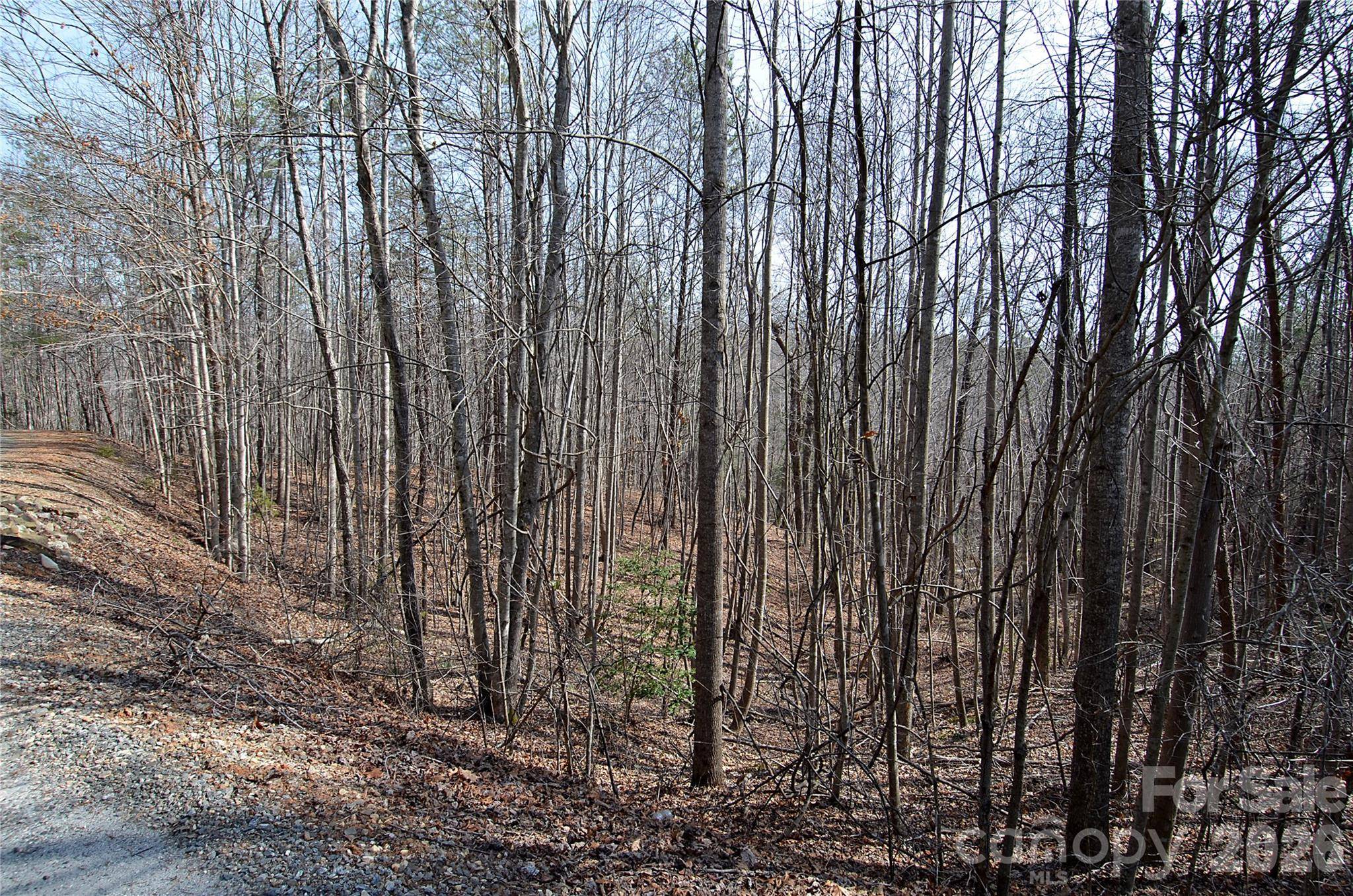 00 Sundance DR #3-IV, Nebo, NC 28761