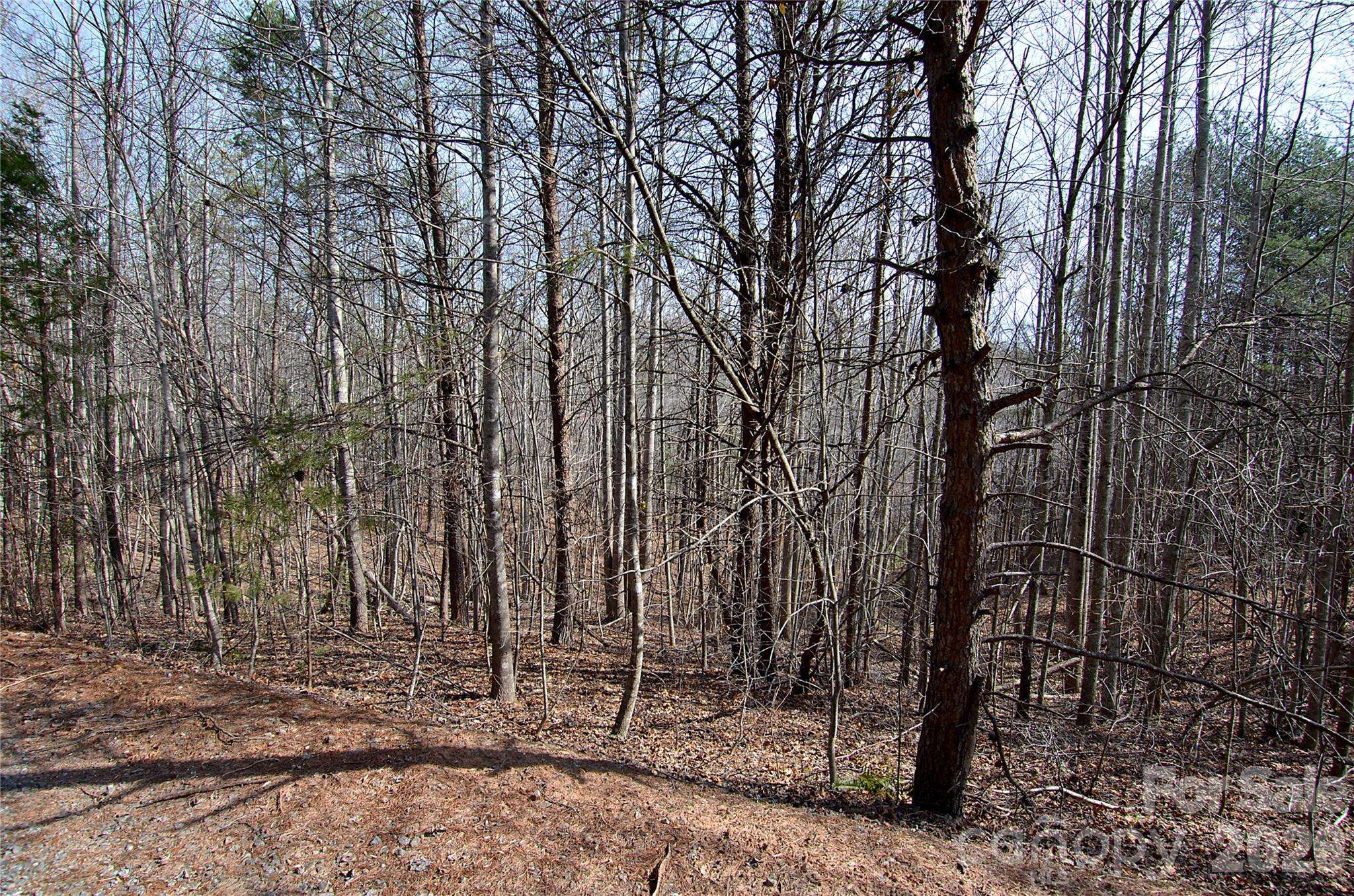 00 Sundance DR #3-IV, Nebo, NC 28761
