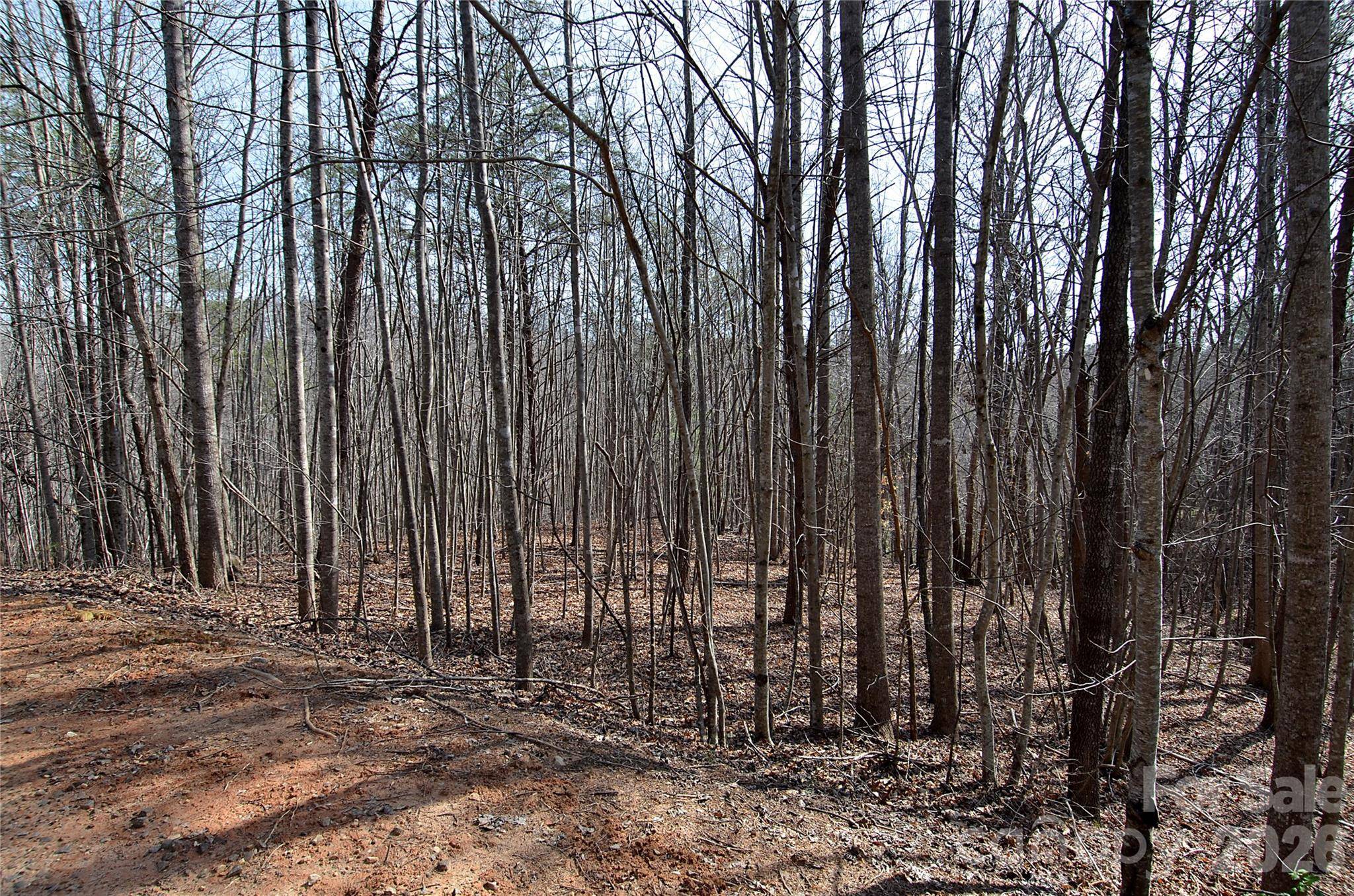 00 Sundance DR #3-IV, Nebo, NC 28761