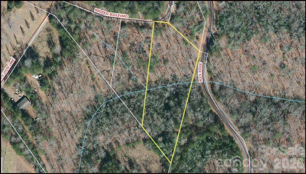 0 Birddog BLVD #328, Lake Lure, NC 28746