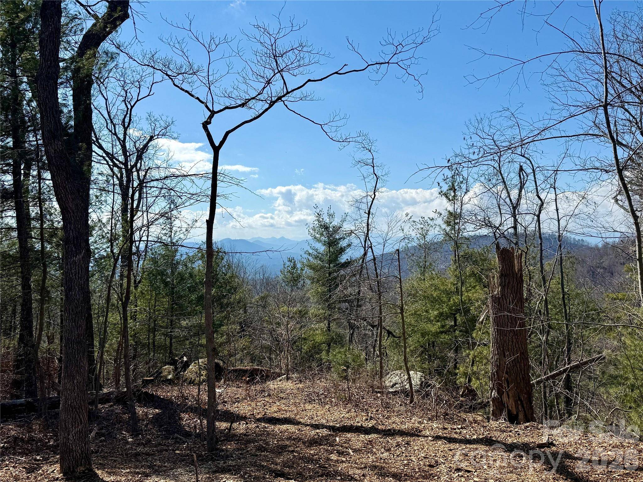 000 Rambling Ridge RD #16, Asheville, NC 28804