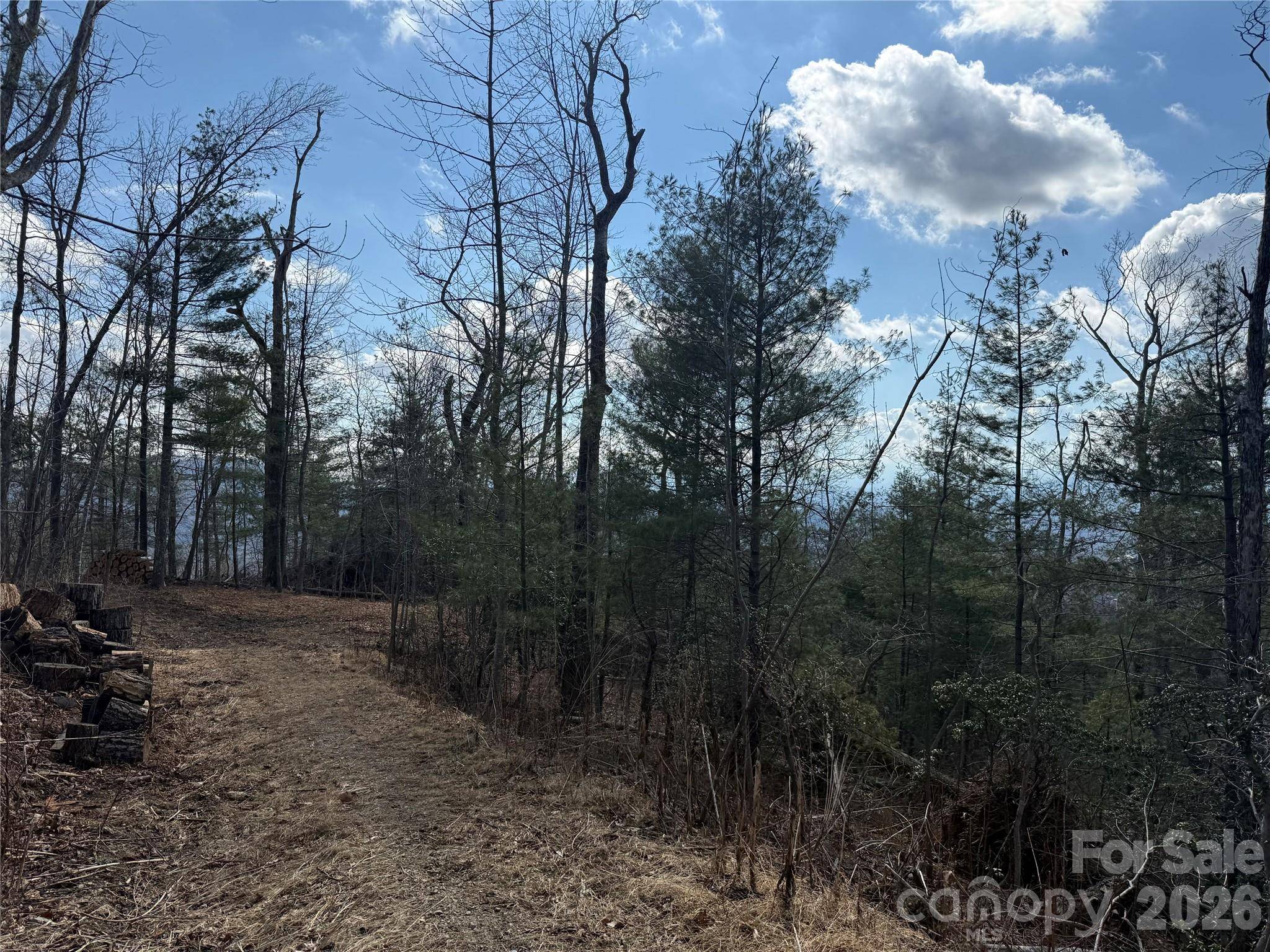 000 Rambling Ridge RD #16, Asheville, NC 28804