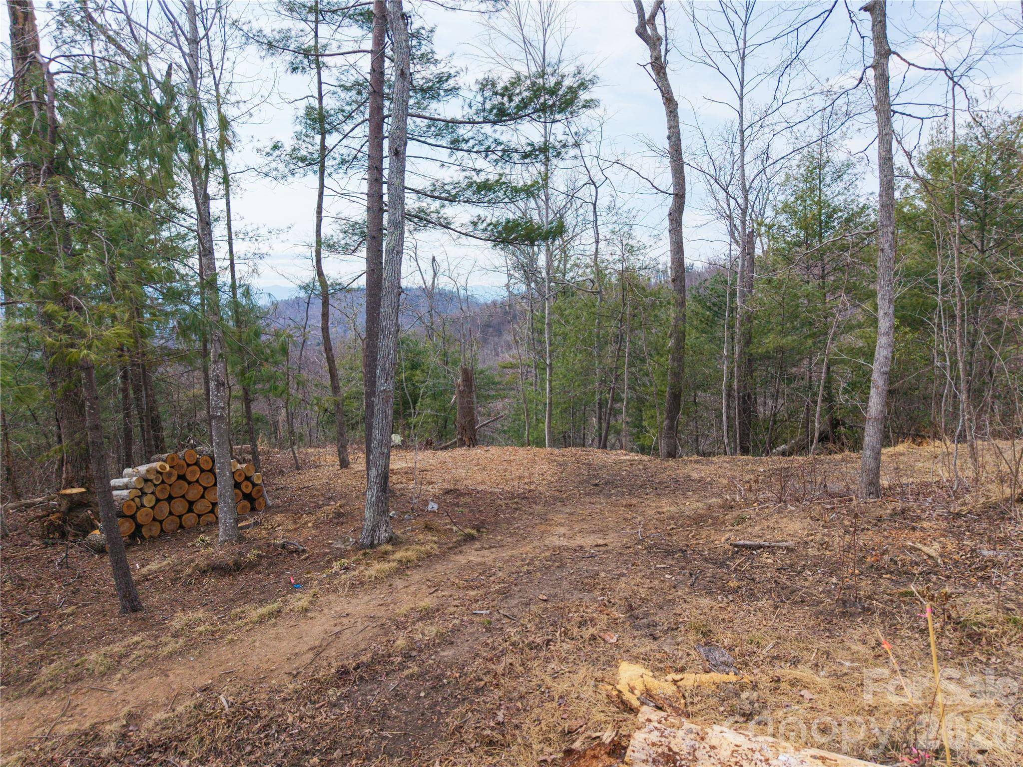 000 Rambling Ridge RD #16, Asheville, NC 28804